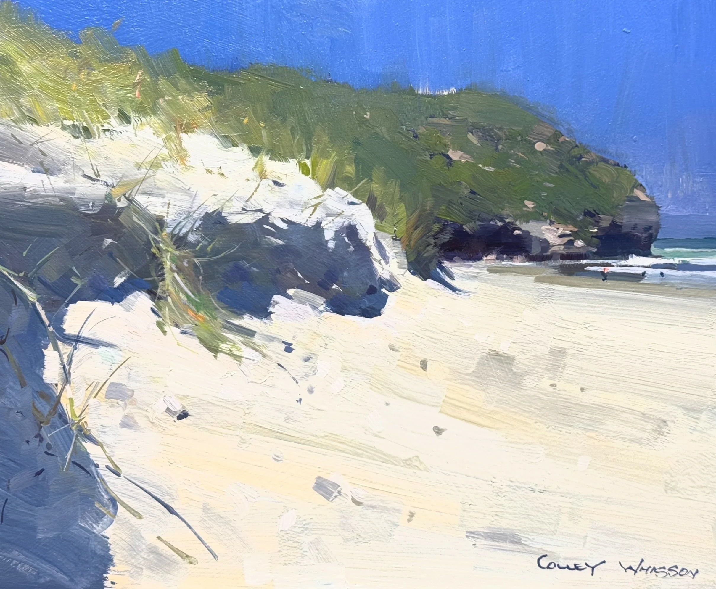 Sunlit Beach, NZ. Only a few spots left. 
Armidale Art Gallery, NSW
Workshop 1: Sat 6th - Mon 8th June (3 x Days)
Workshop 2: Wed 10th - Thurs 11th June (2 x Days)
Annie Minton: annie@annieminton.com.au 
Website: www.armidaleartgallery.com
Mobile: 04