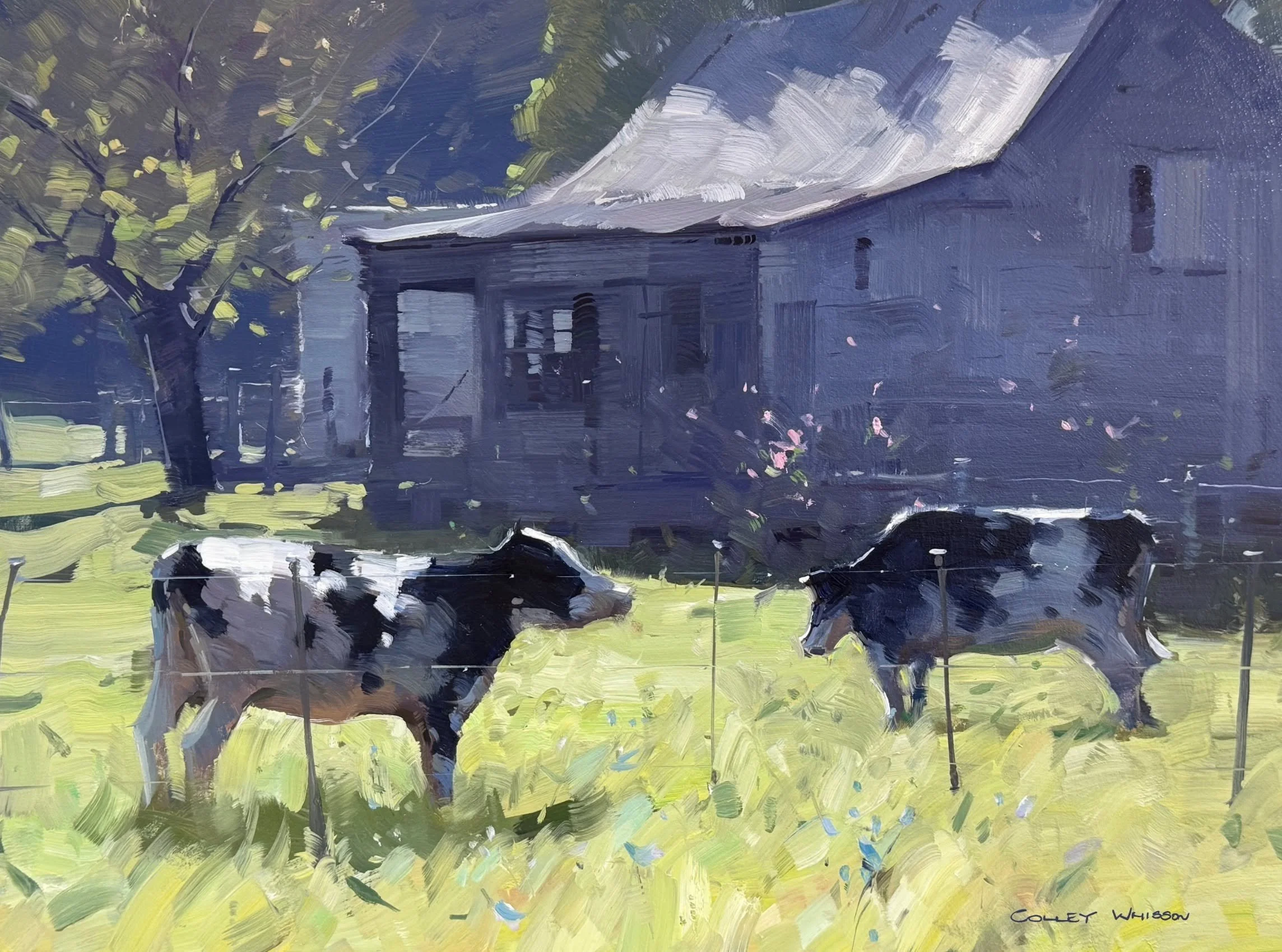 2026 Australian Workshops 

REGISTER today - Don't miss out! 

Armidale Art Gallery, NSW
Workshop 1: Sat 6th - Mon 8th June (3 x Days)
Workshop 2: Wed 10th - Thurs 11th June (2 x Days)
Annie Minton: annie@annieminton.com.au 
Website: https://armidale