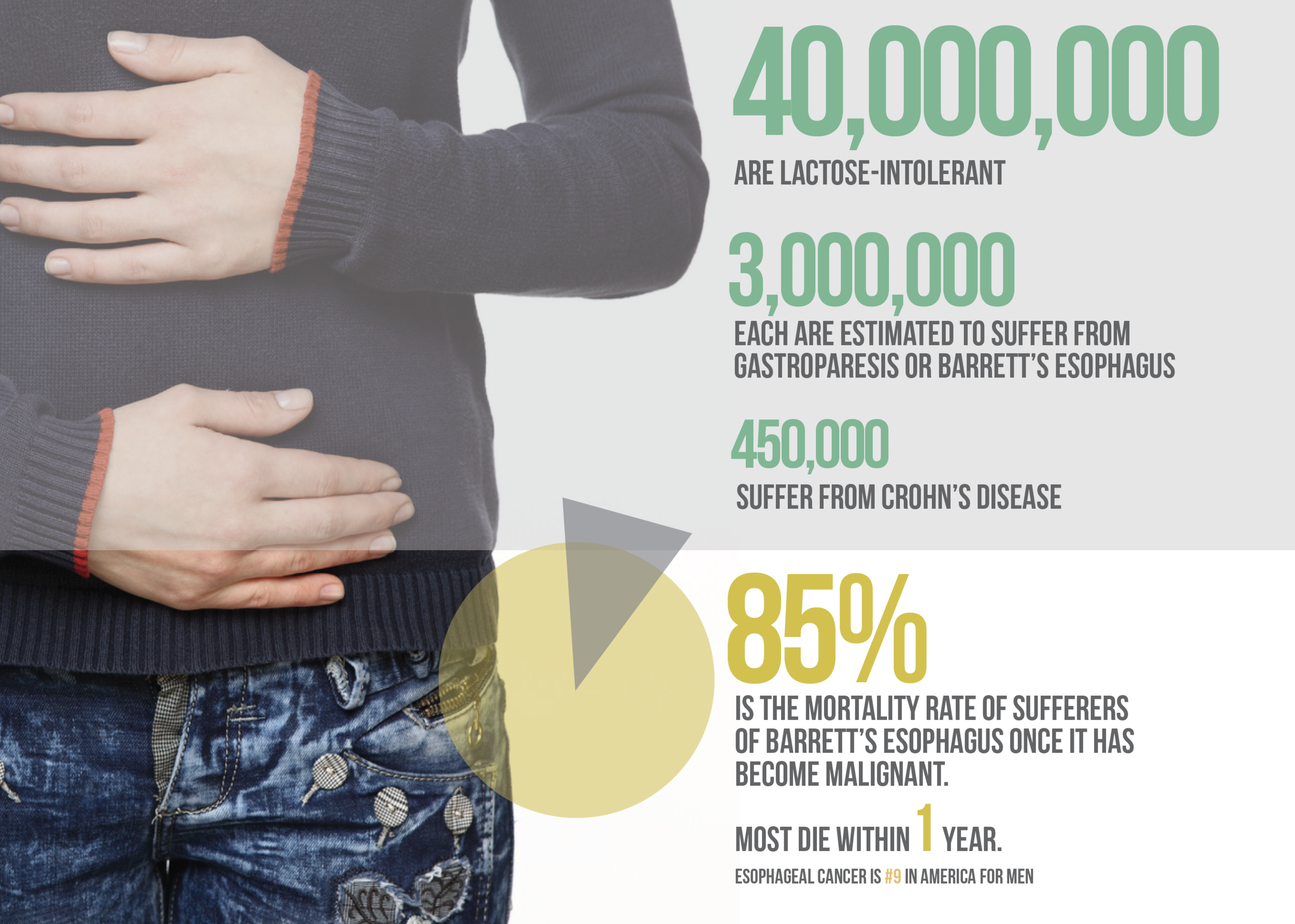 Screen Shot 2017-12-18 at 9.31.28 AM.png