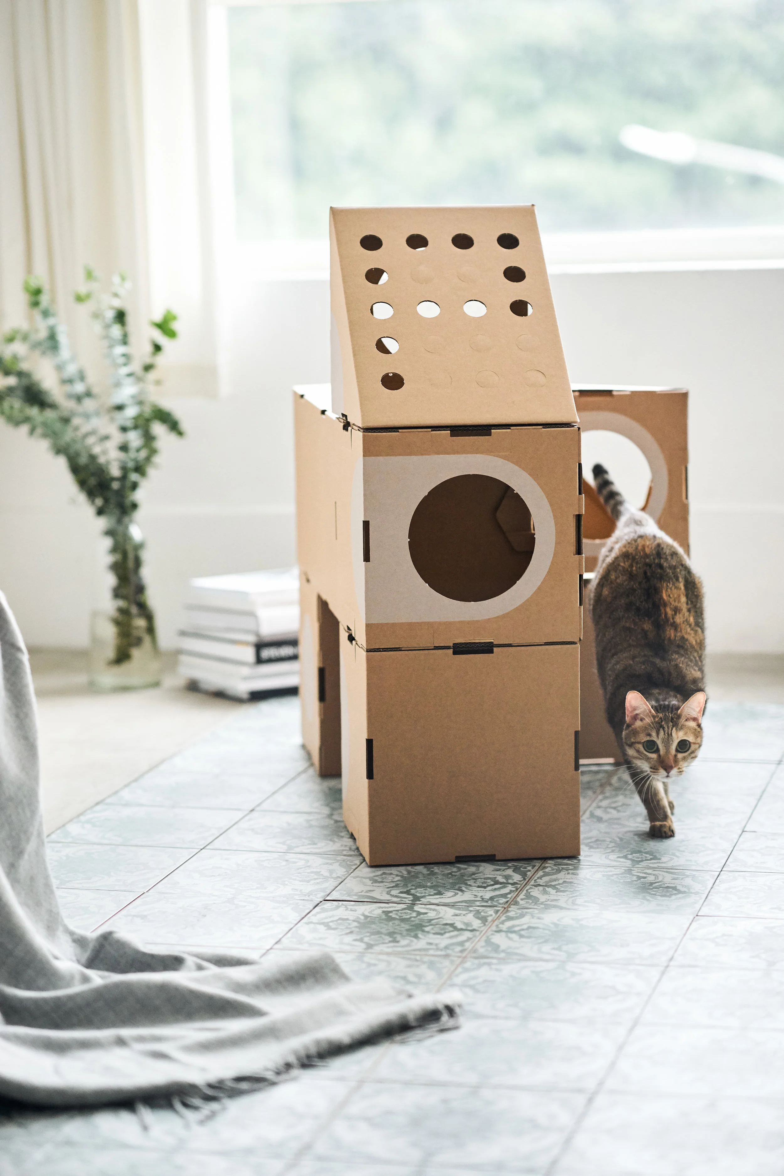 A_CAT_THING_04_Random-010.jpg