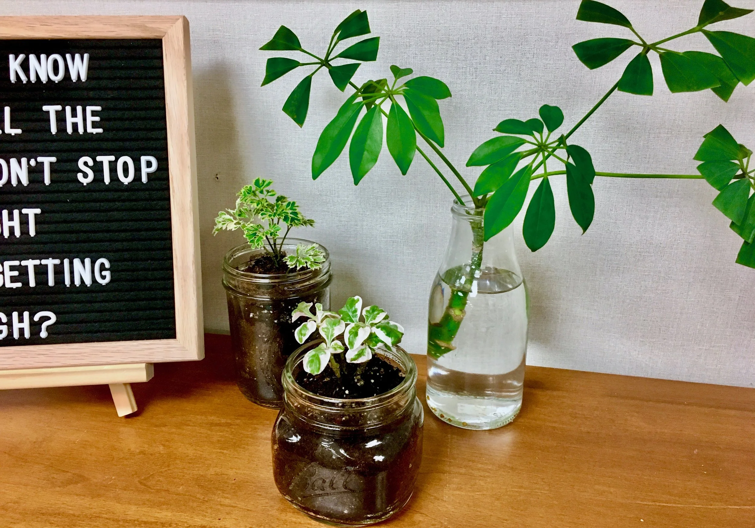 The things we cannot see.