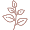 herb-01.png