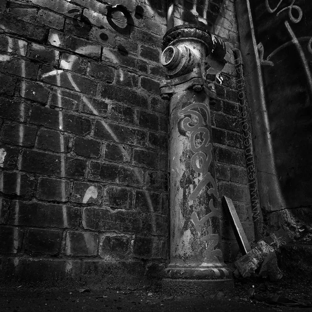 Leanne-Cole-hydrant-2