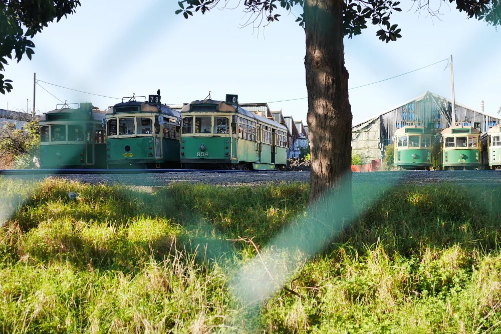 Joe Chow - Gallery Image 3