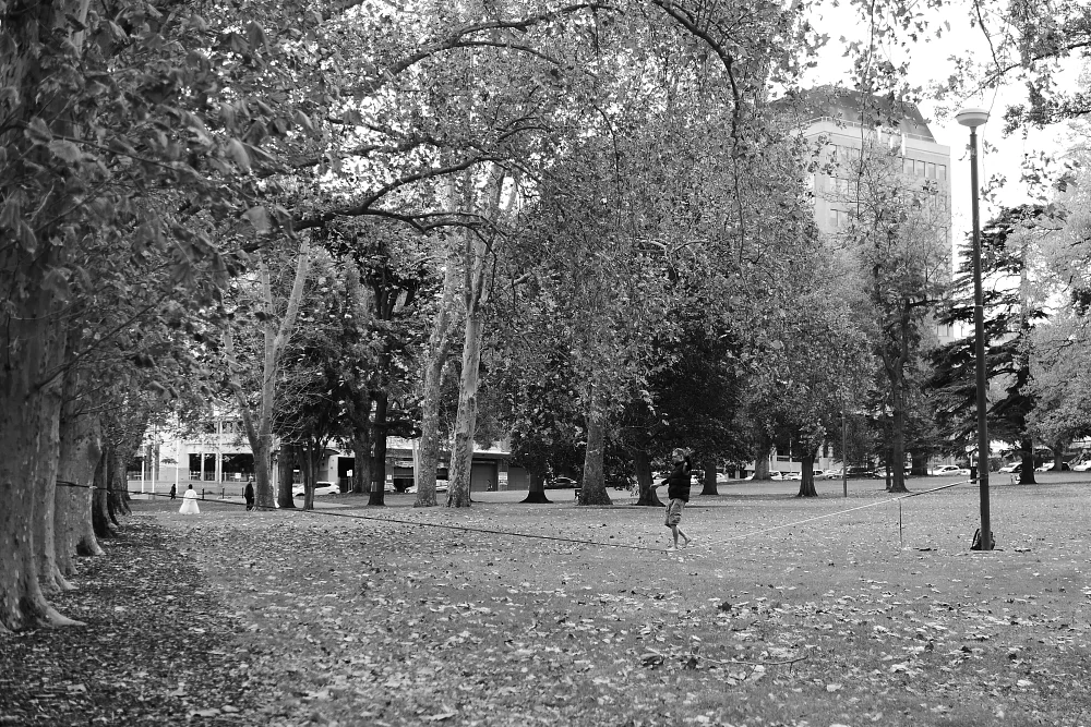 Joe Chow - Gallery Image 7