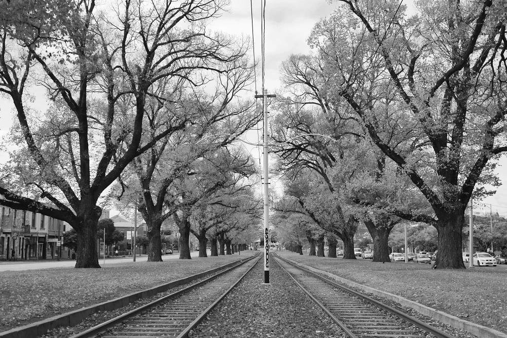 Joe Chow - Gallery Image 9