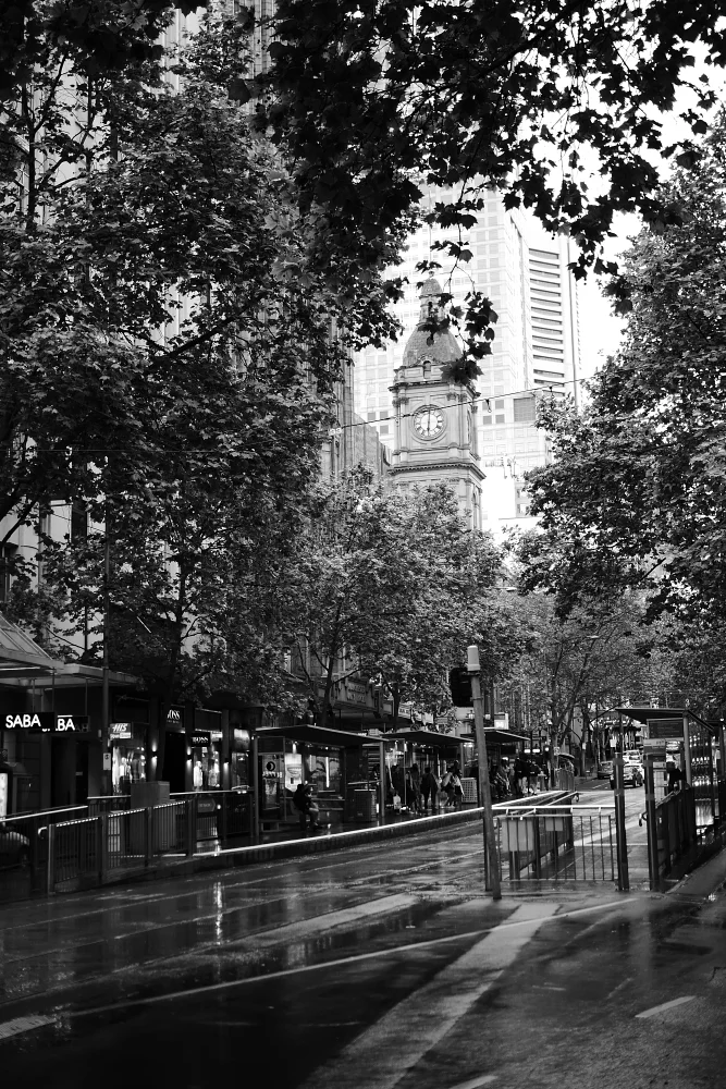 Joe Chow - Gallery Image 13