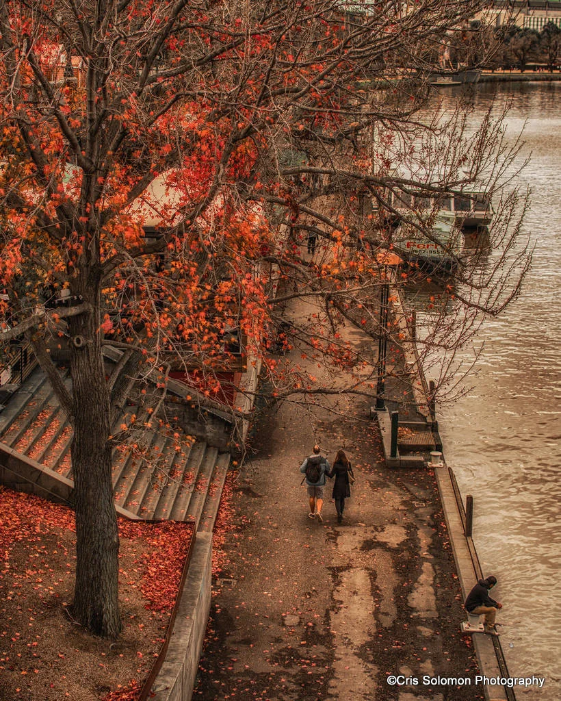 Cristina Solomon - Last day of Autumn