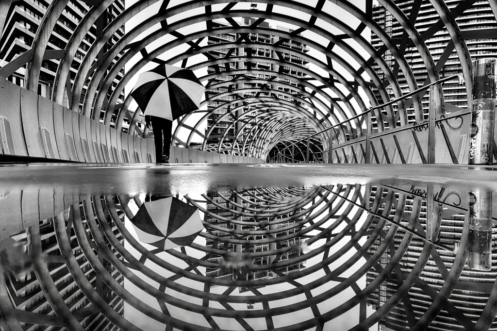 Adrian Whear - Trapped in a Webb
