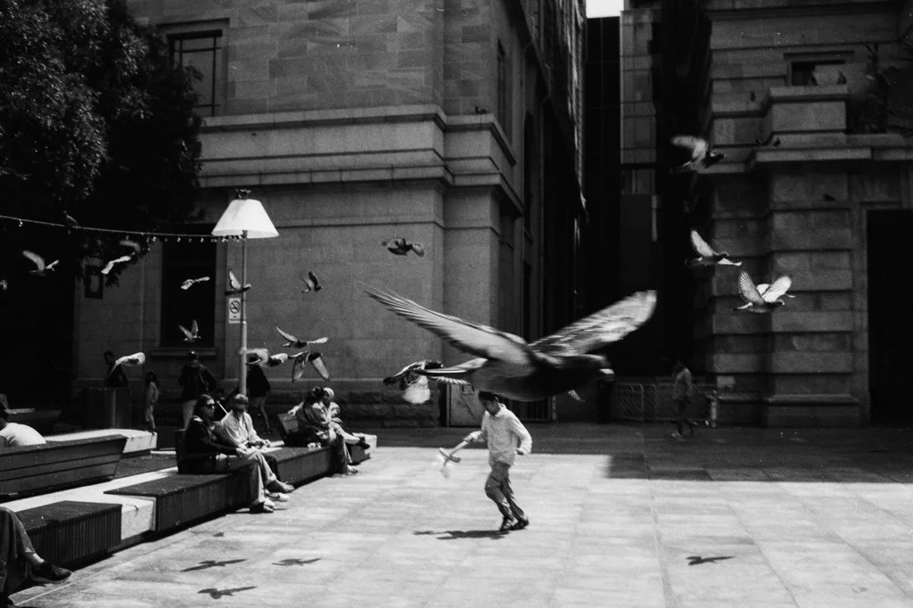 Kyle Attwood -  (7).jpg