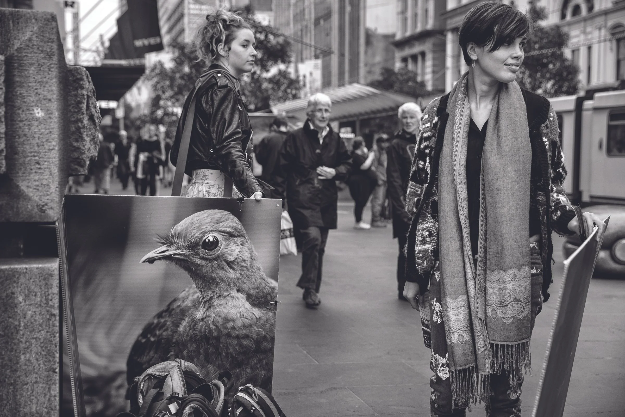 Birds of a Feather, Benizi Santamaria