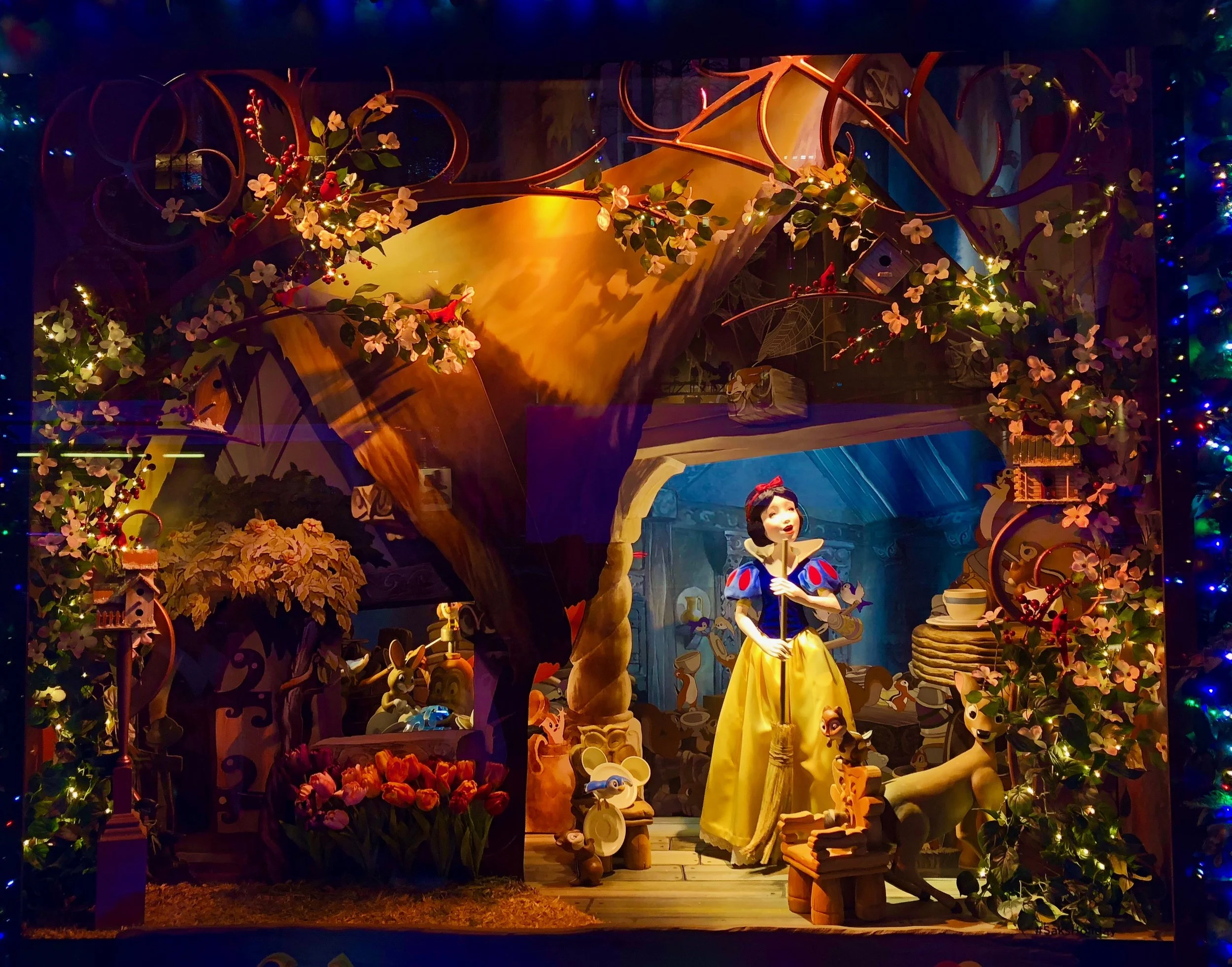 File Dec 09, 1 13 46 AM.jpeg