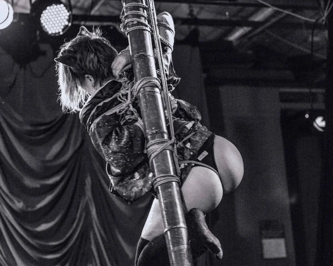 bamboo suspension 1 crop.jpeg