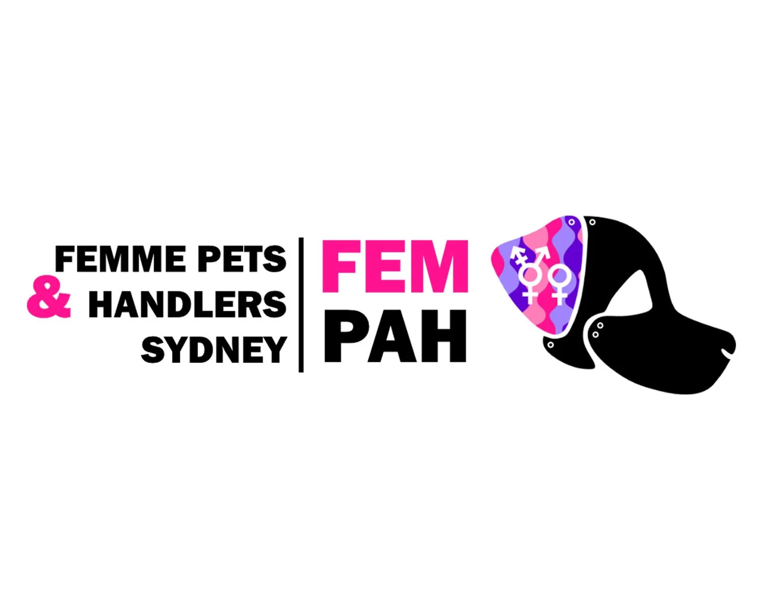 Fem PAH logo 5x4.jpg