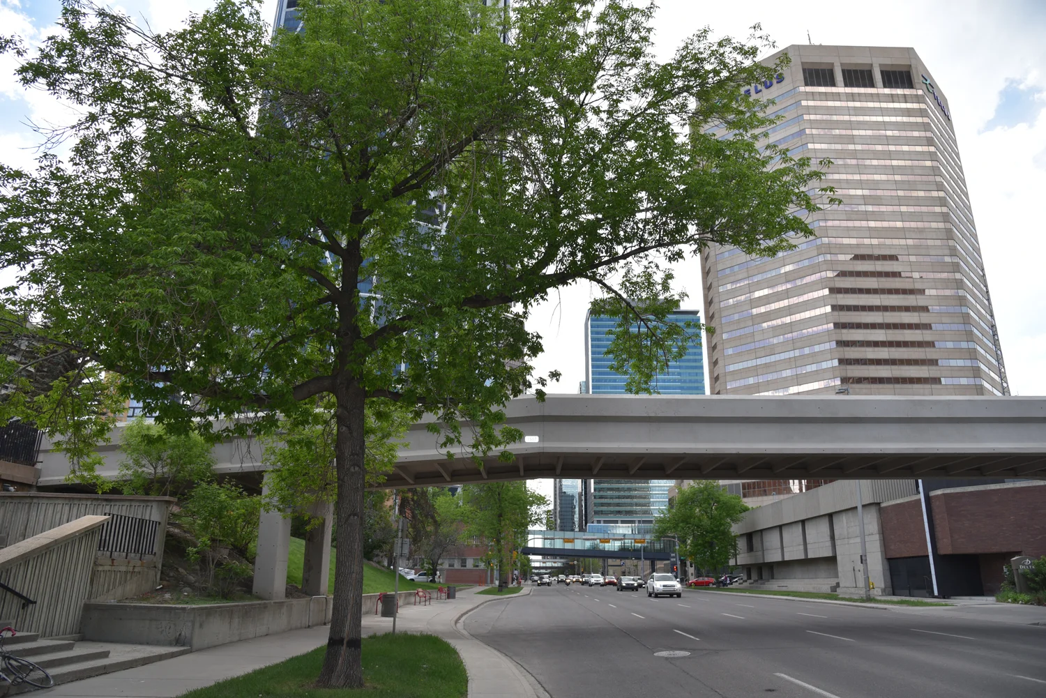 5th Ave & Macleod Trail (near Delta Hotel)