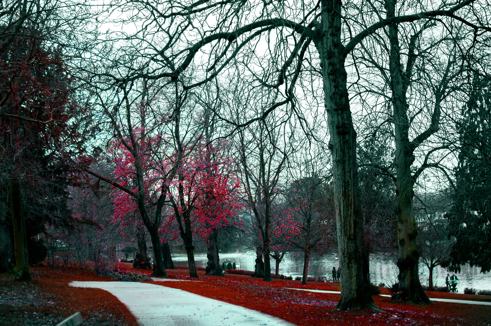 8. The Red Path