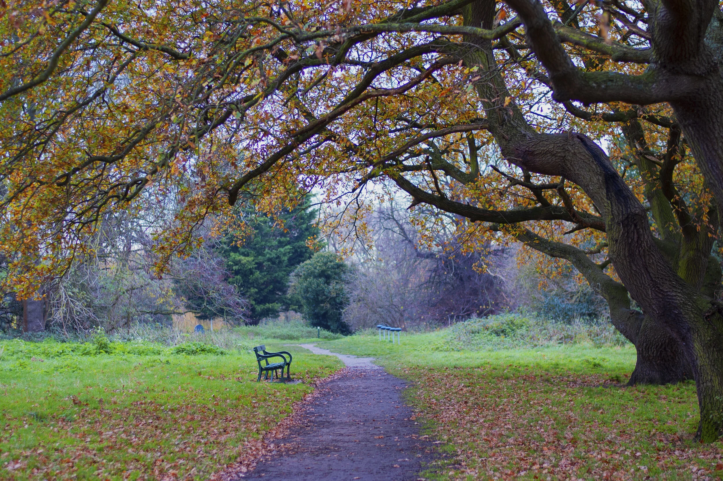 Things I Find Beautiful: an Online Exhibition