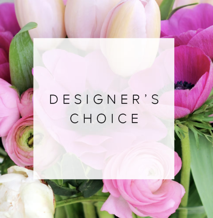 Screenshot 2026-02-04 at 10.56.42 AM.png (Copy)