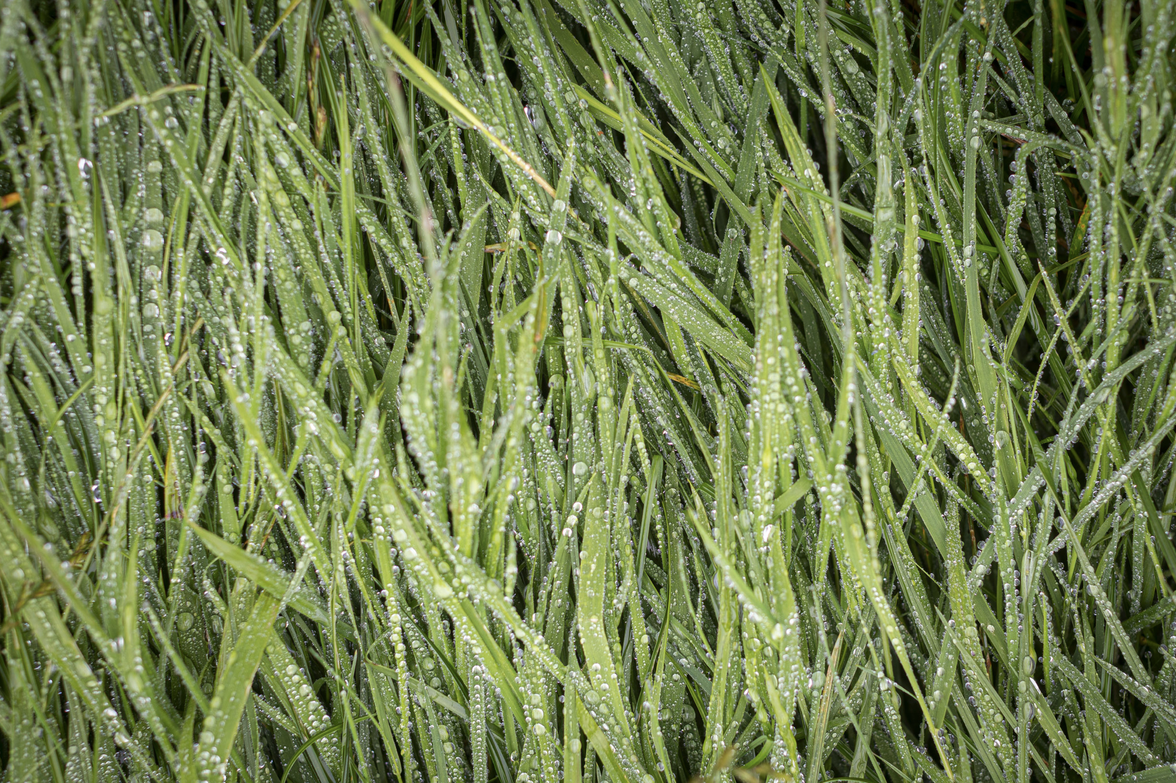 Screenshot 2020-02-04 at 20.49.46.png