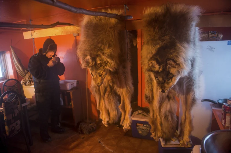 PAT KANE Timiskaming First Nation Yellowknife, NWT, Canada www.patkanephoto.com @patkanephoto