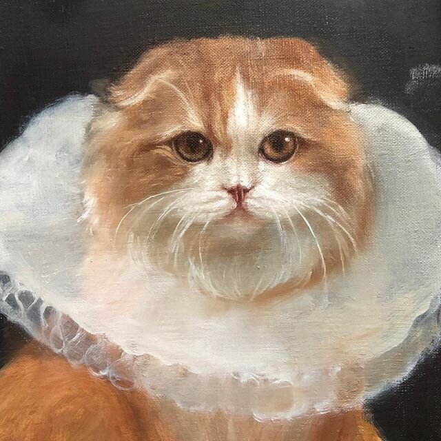 Pets should always be painted as royalty if you ask me! ⭐️ This painting is still work in process, but I have a really good feeling about it already.