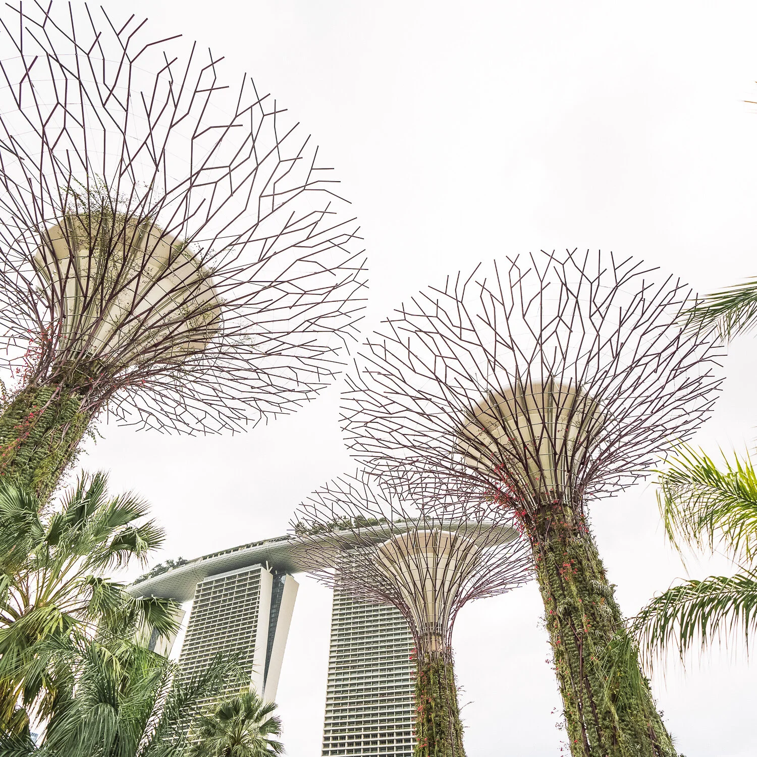 Tourist in My Own City, Singapore - Vania