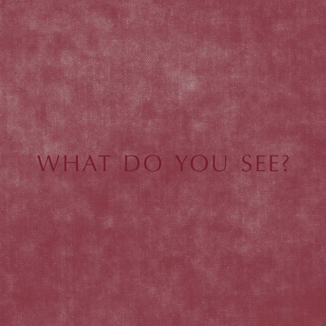 What Do You See? - Charlotte Tan