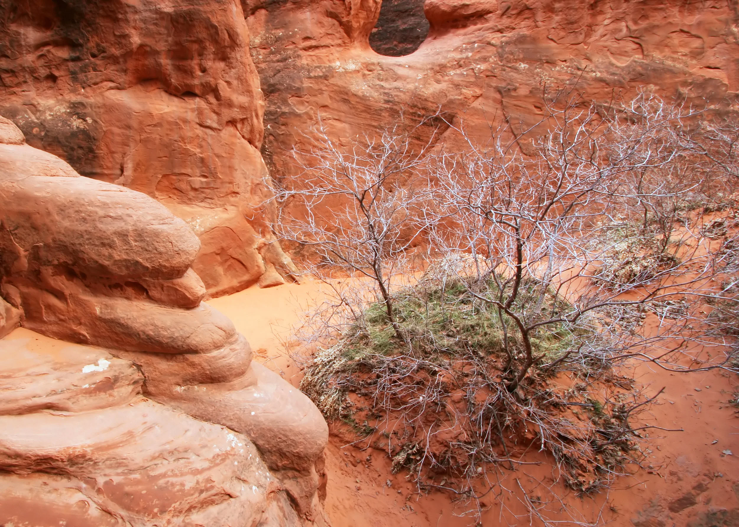 near Sand Dune Arch