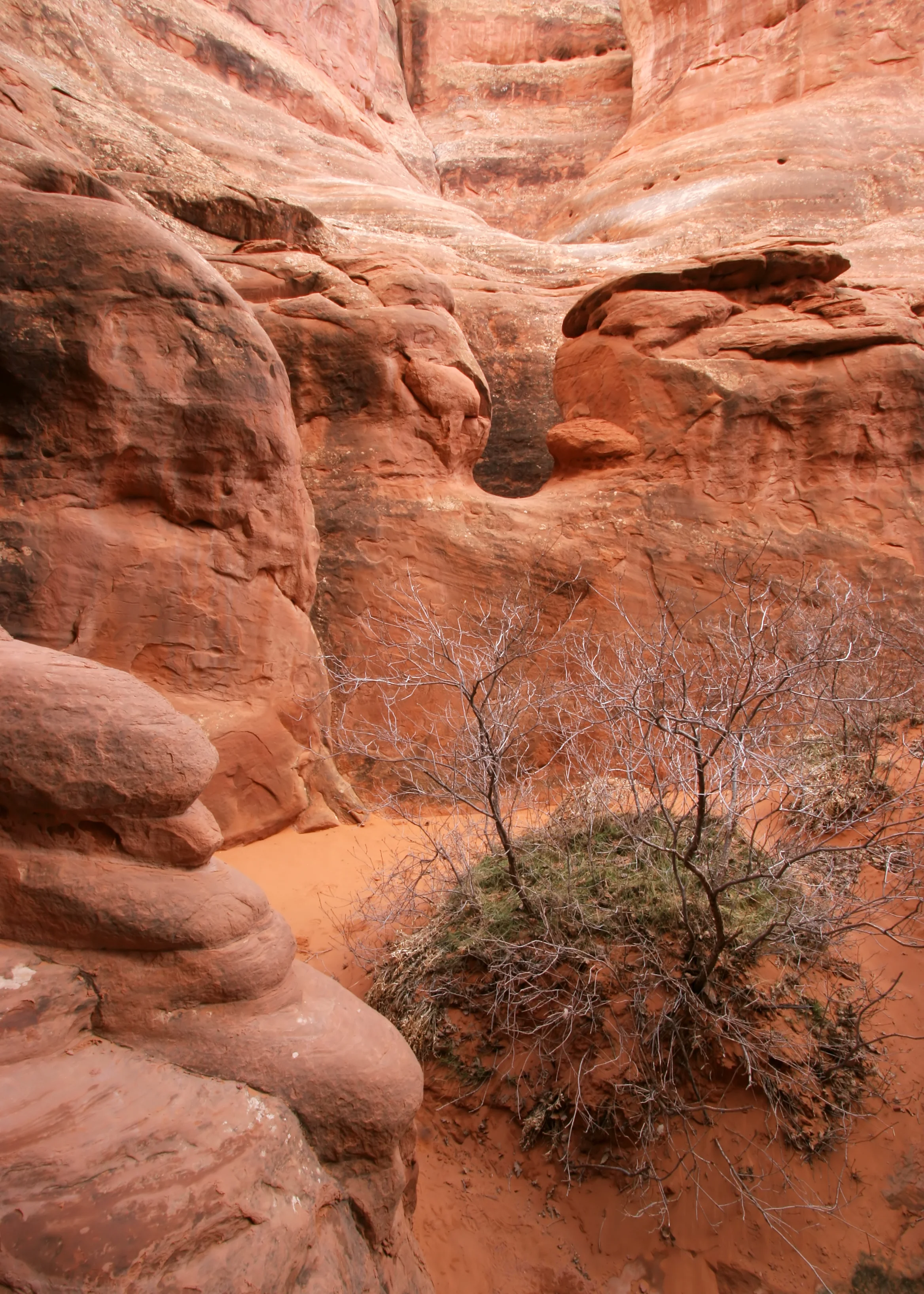 near Sand Dune Arch