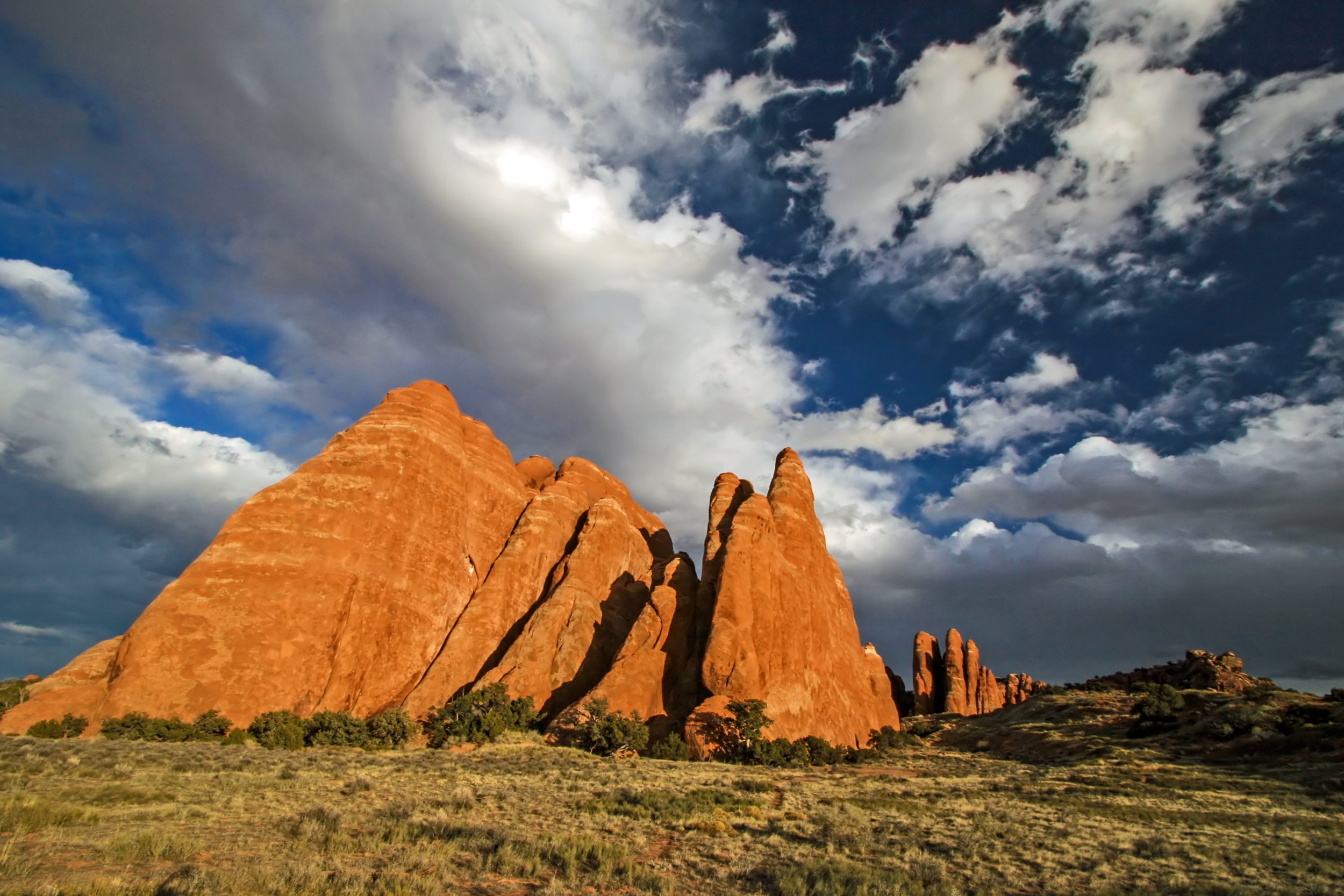 Fins near Sand Dune Arch