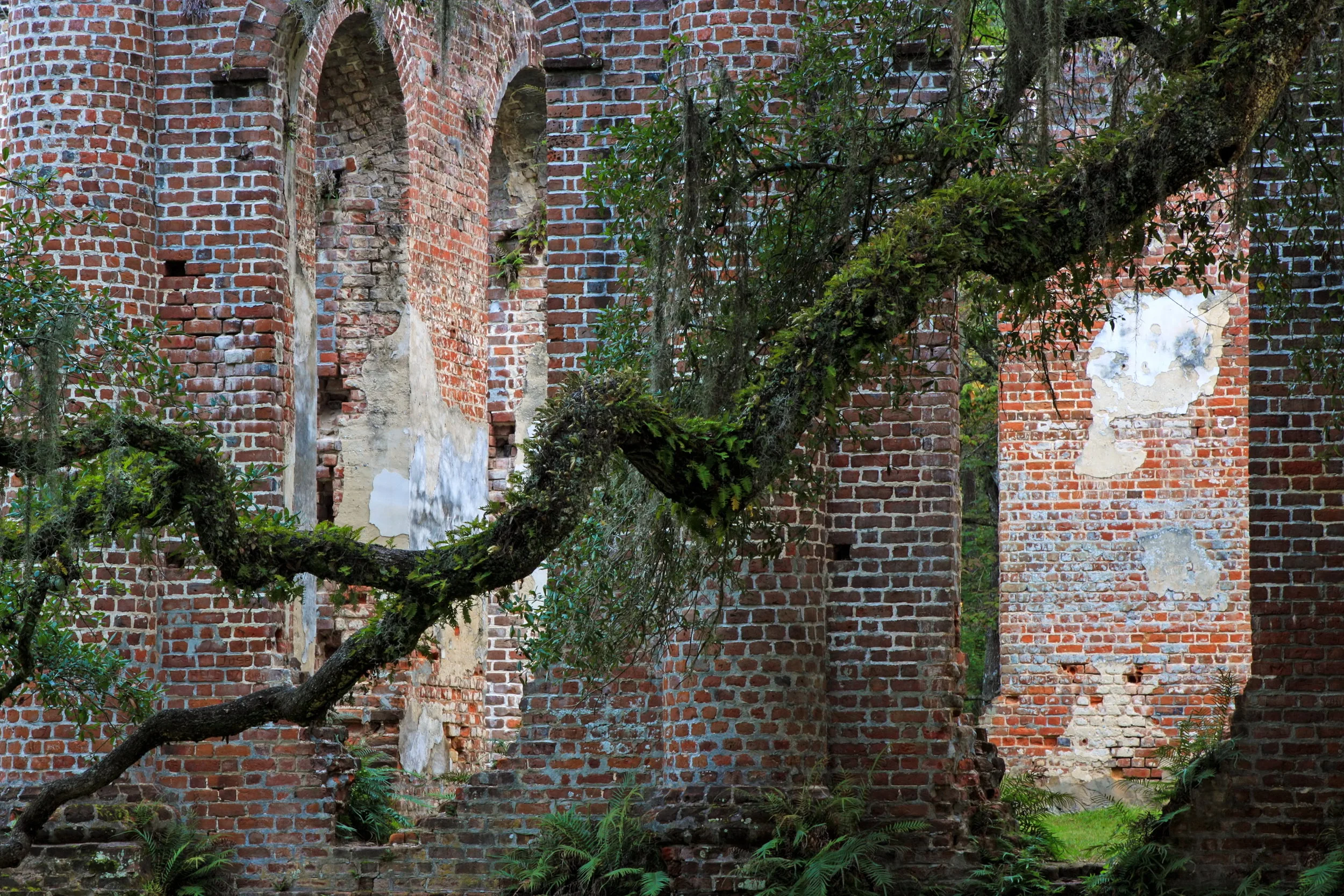 Old Sheldon Church