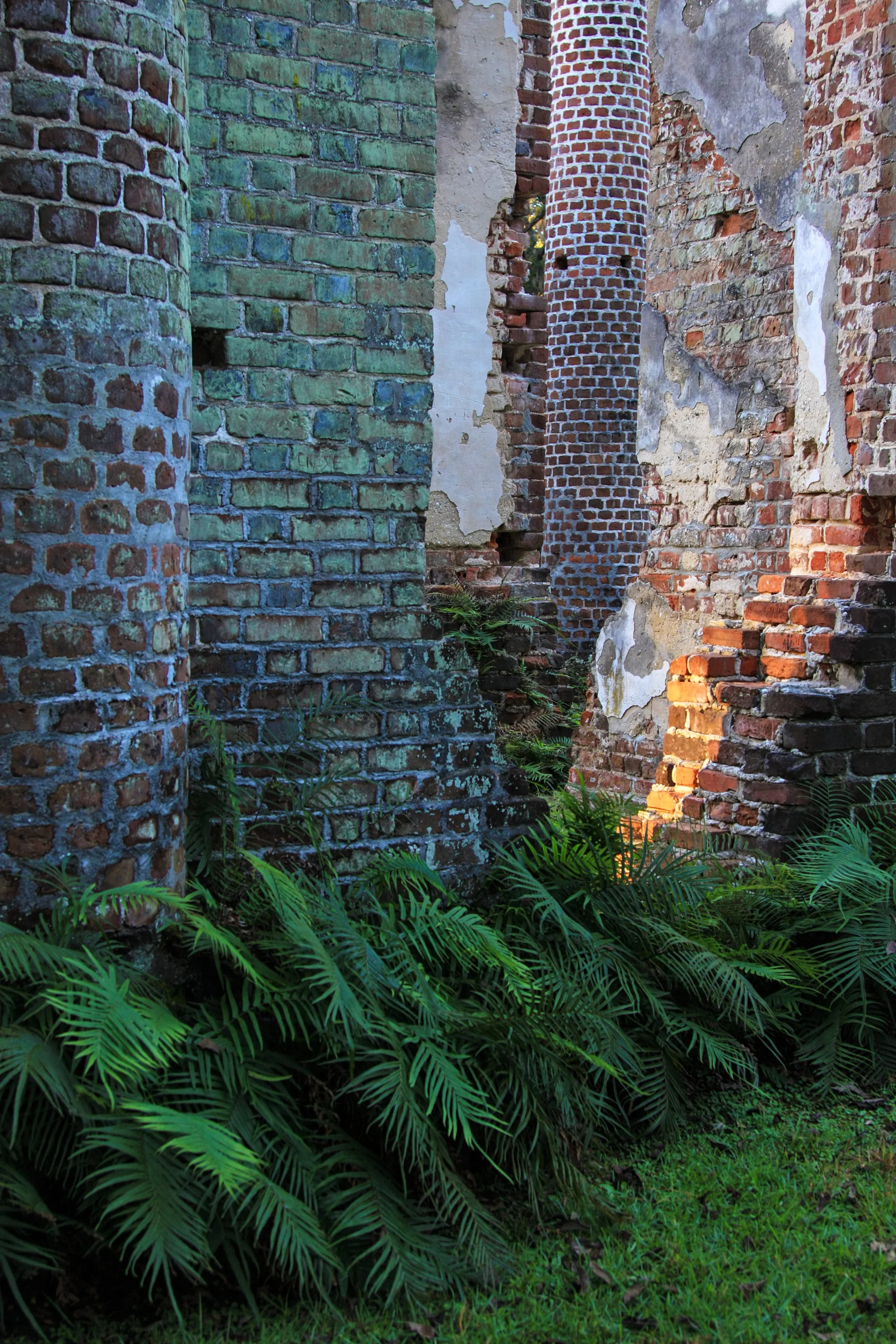 Old Sheldon Church