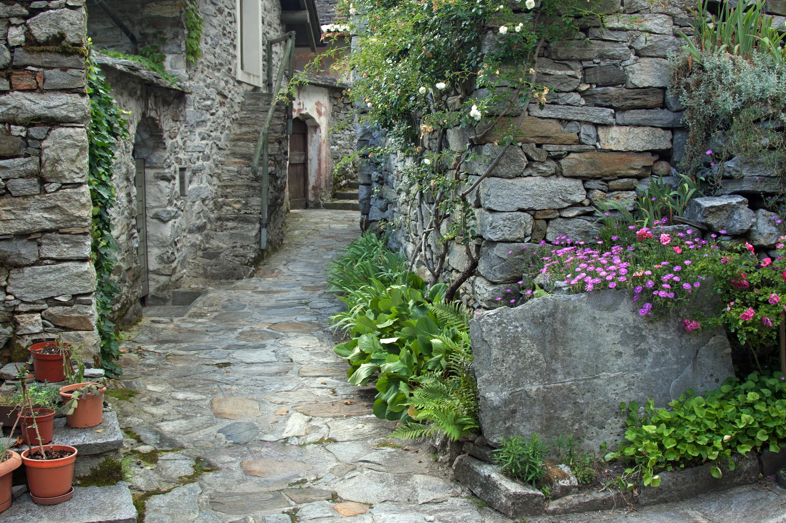 Sambugaro