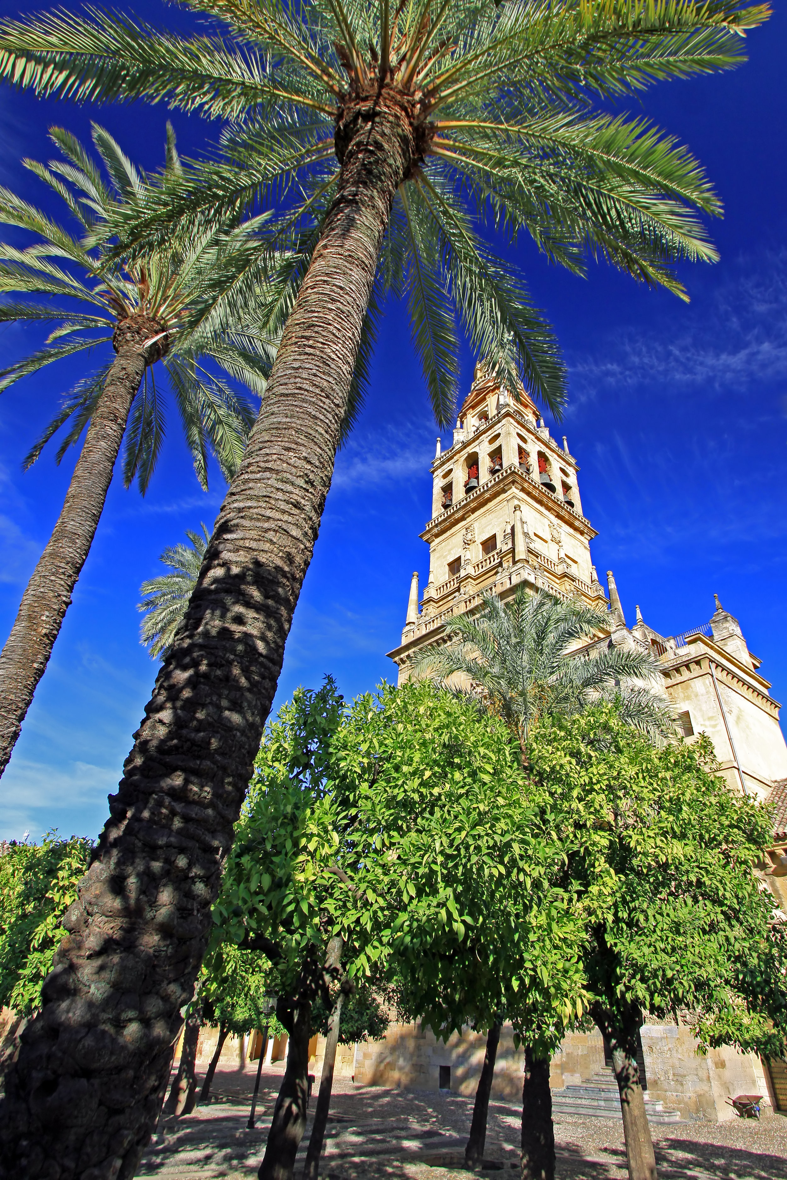 La Mezquita