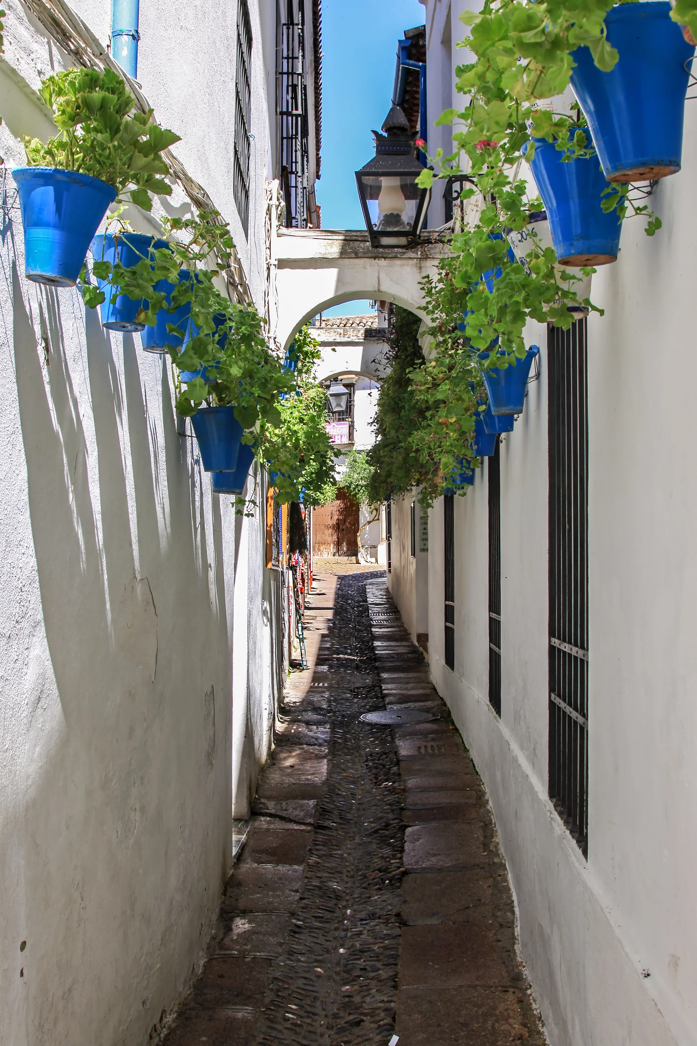 Calleja de las Flores