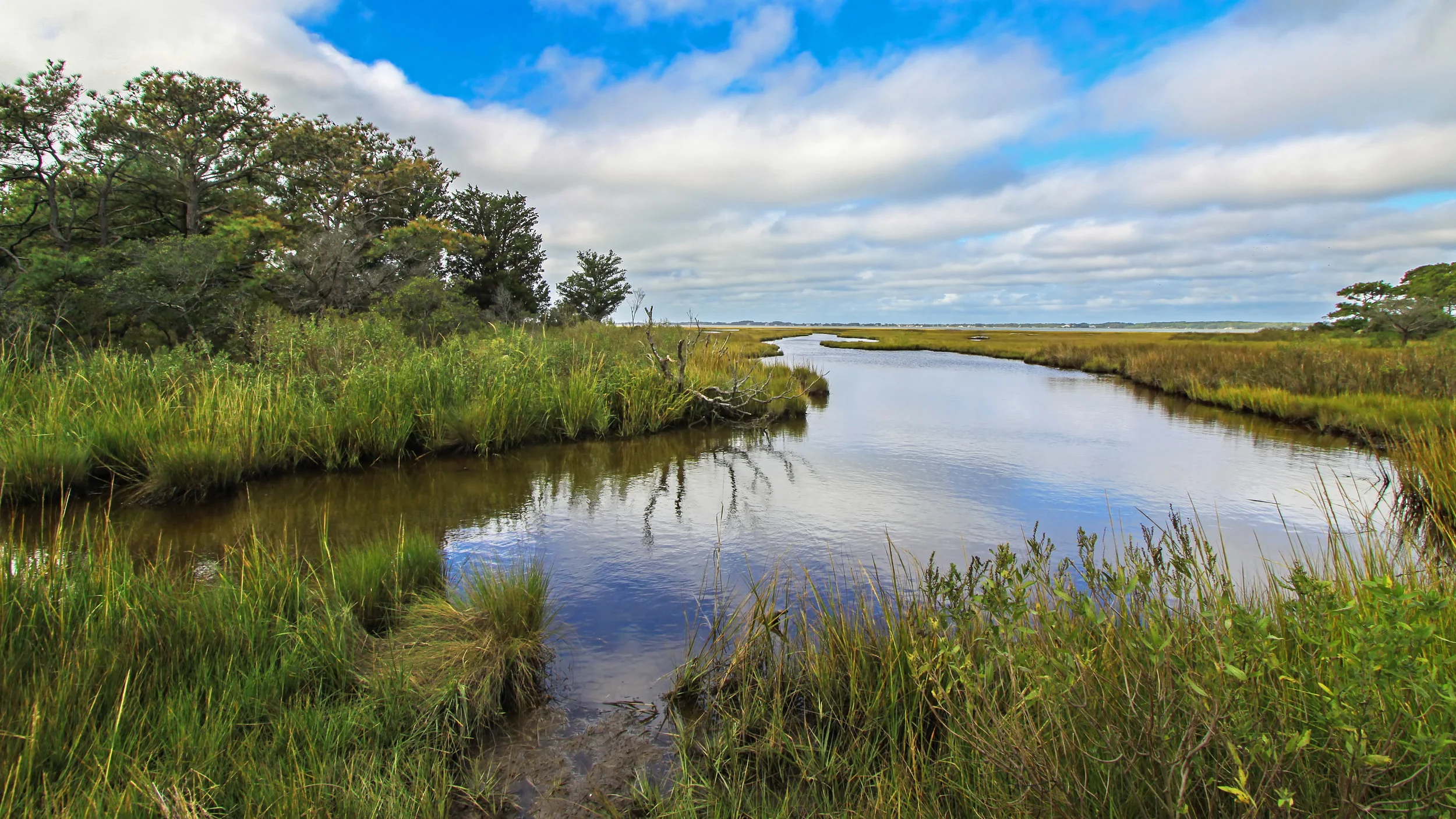 Assateague