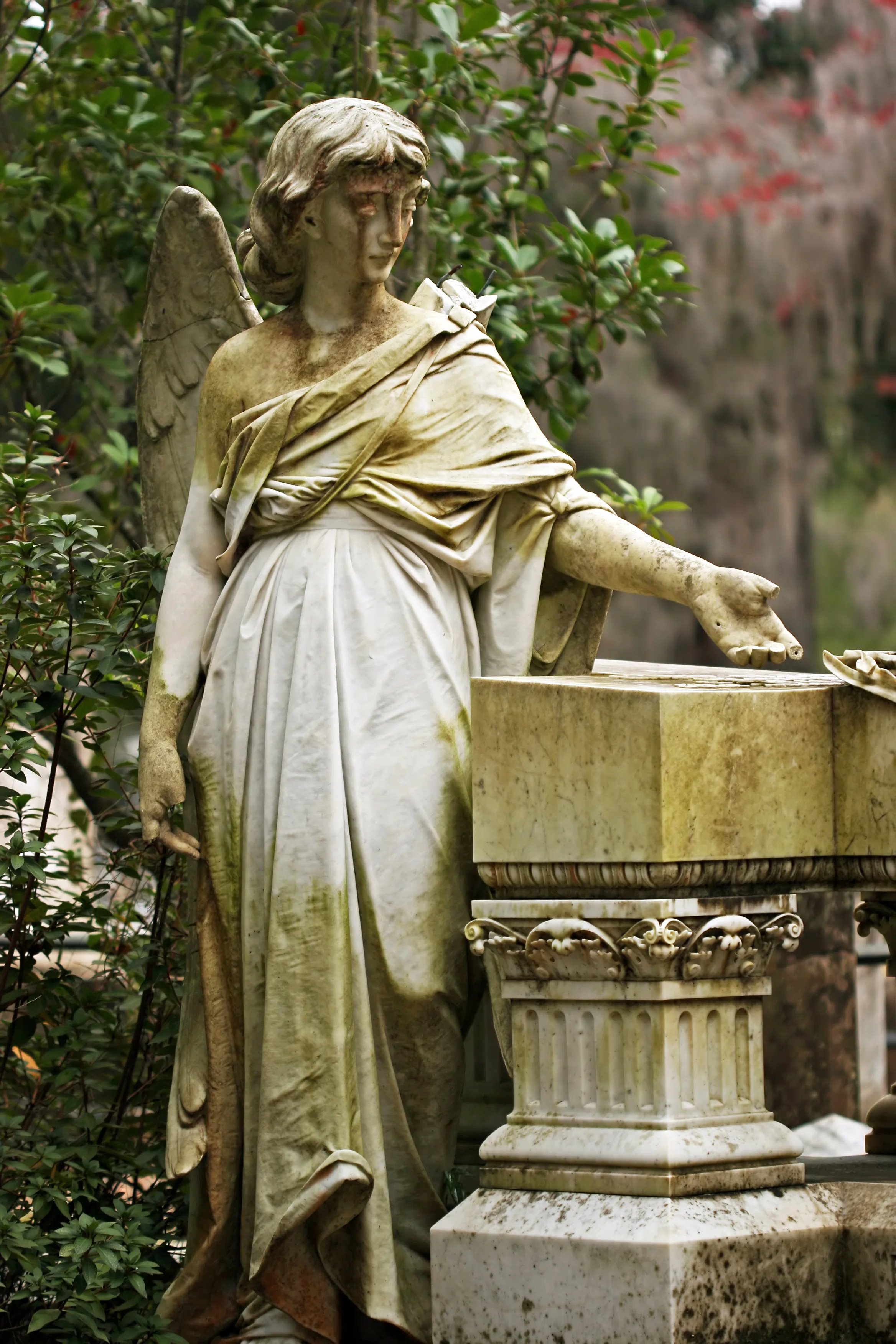 Bonaventure Cemetery