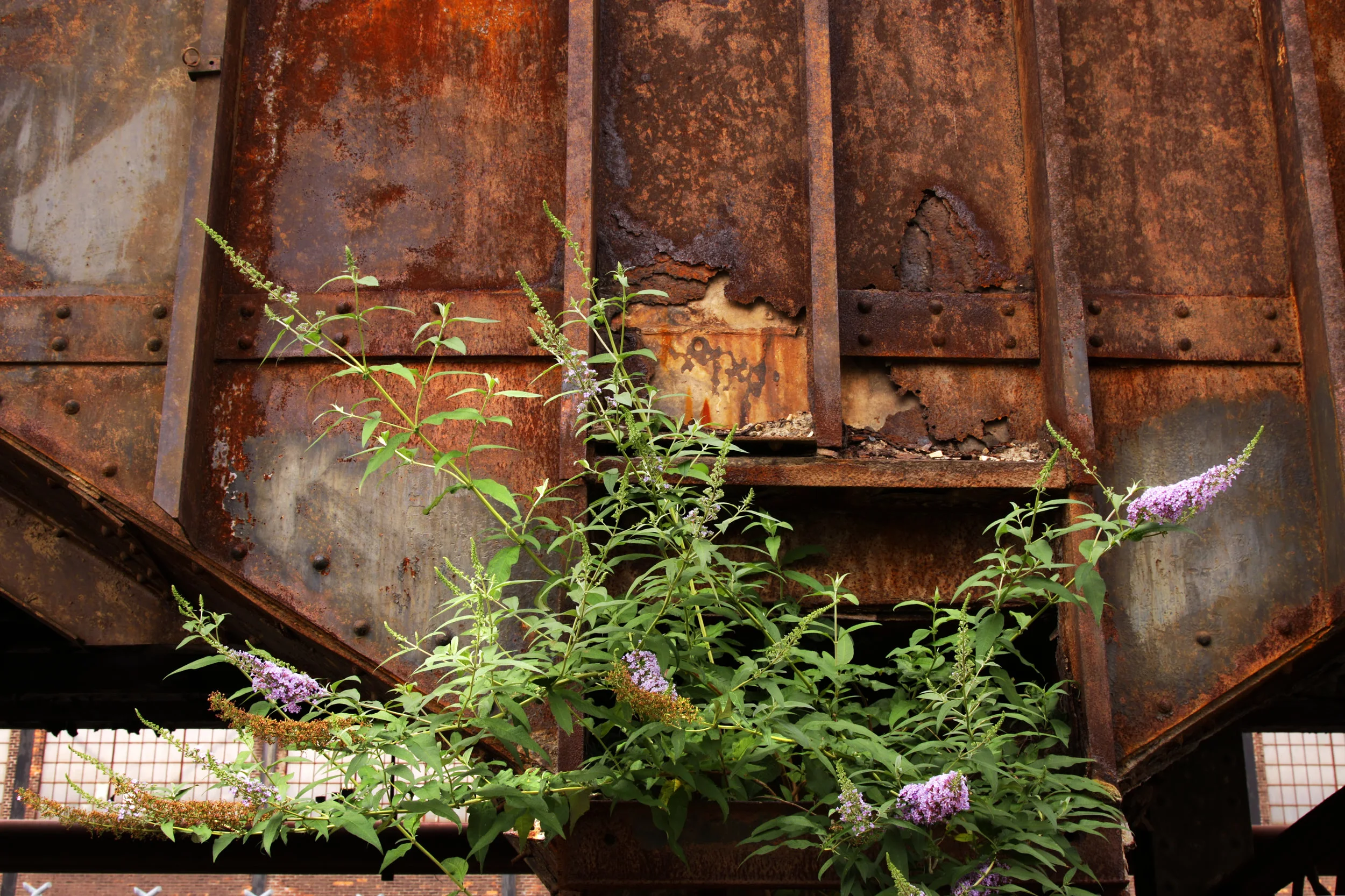 Bethlehem Steel