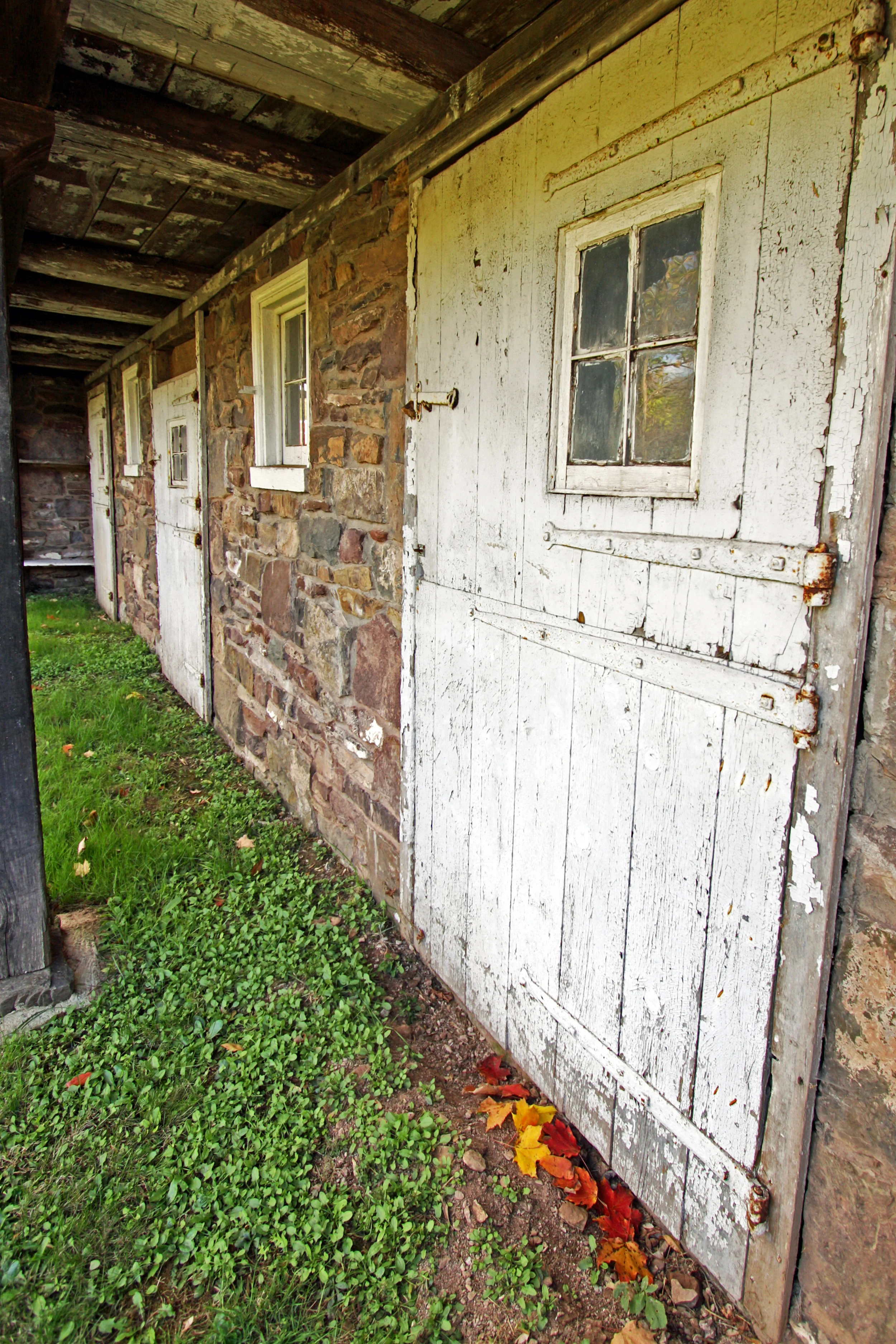 Bergey Mill Farm