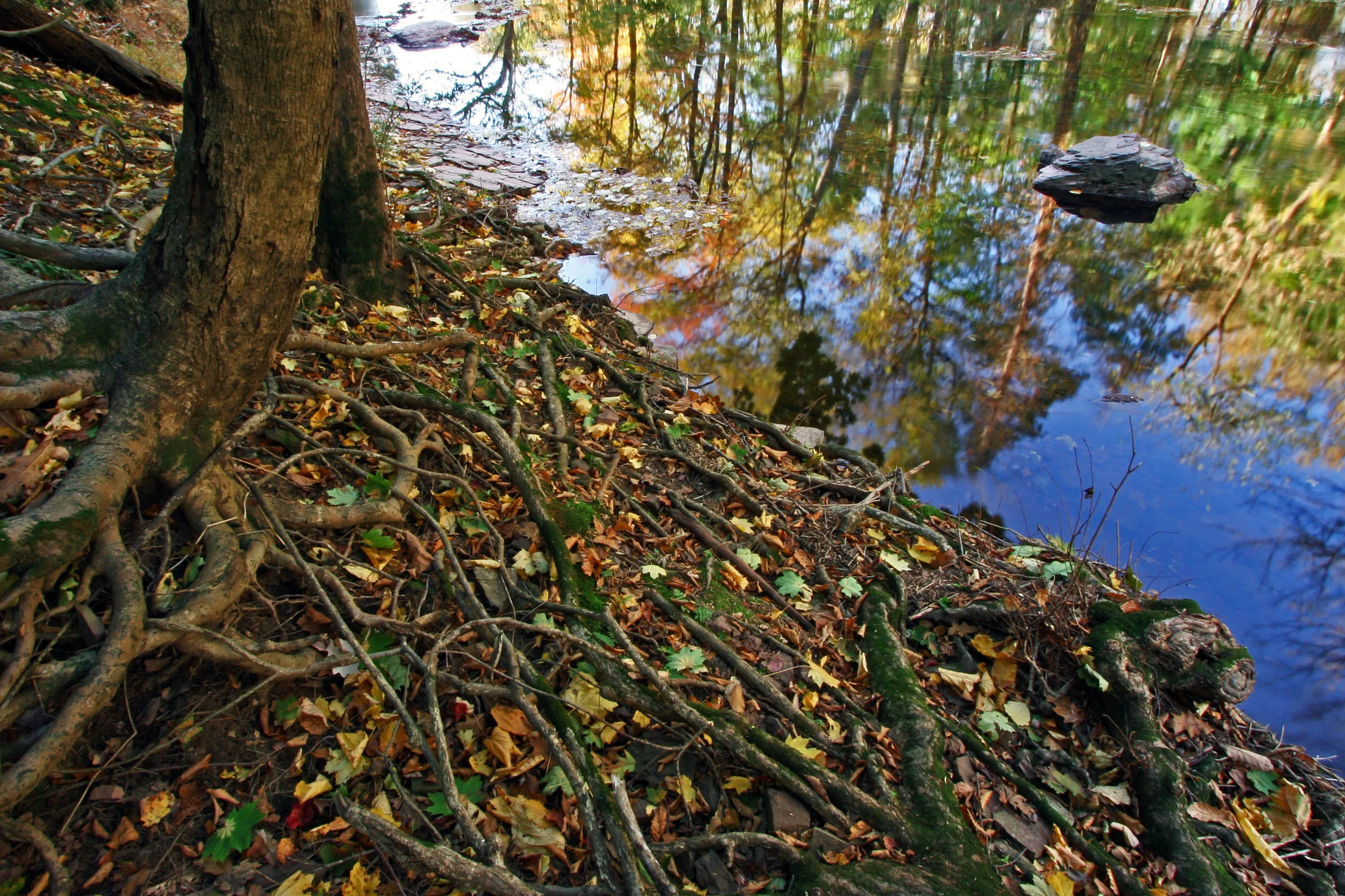 Montgomery County