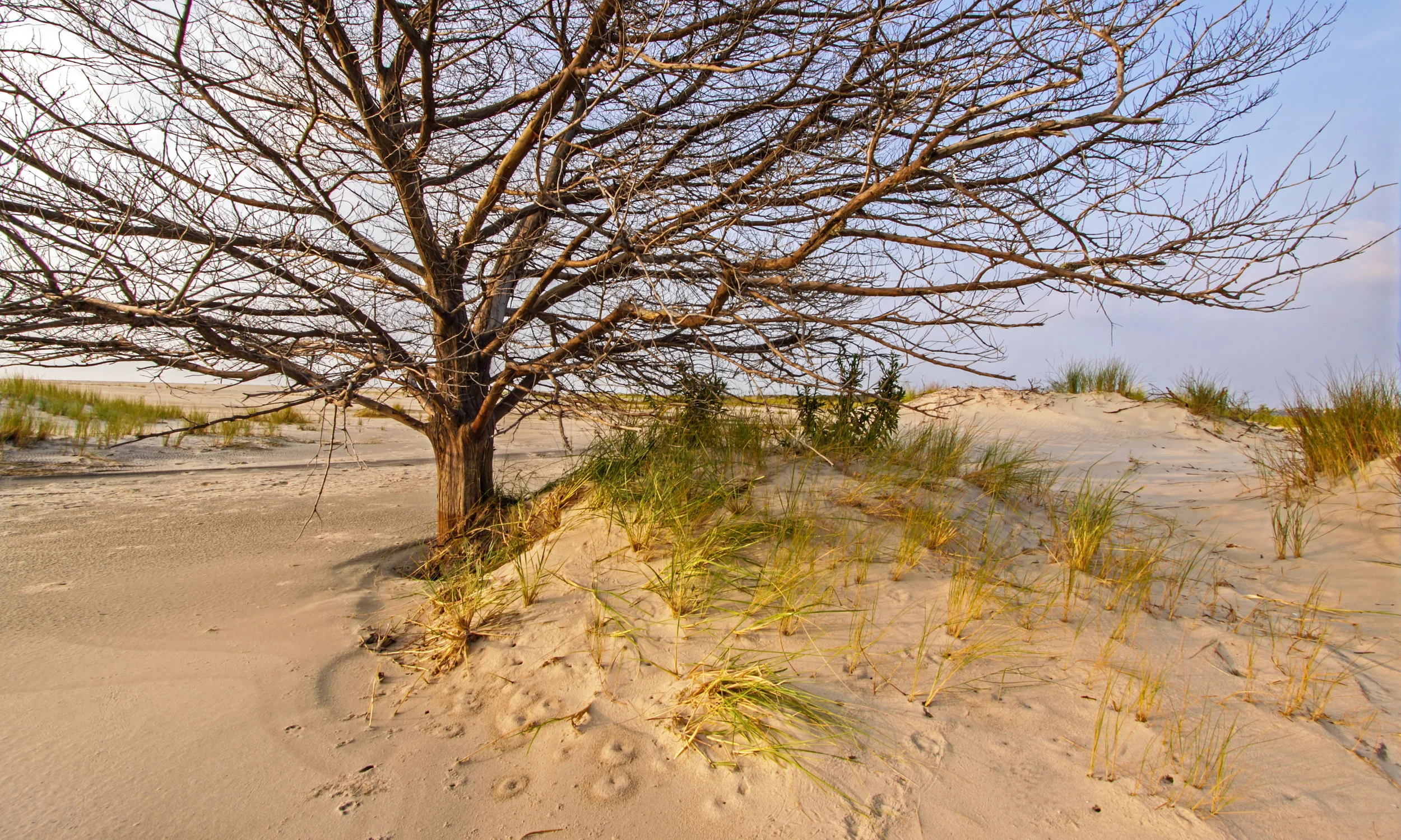 IMG_0108 Edited 2_filtered.jpg