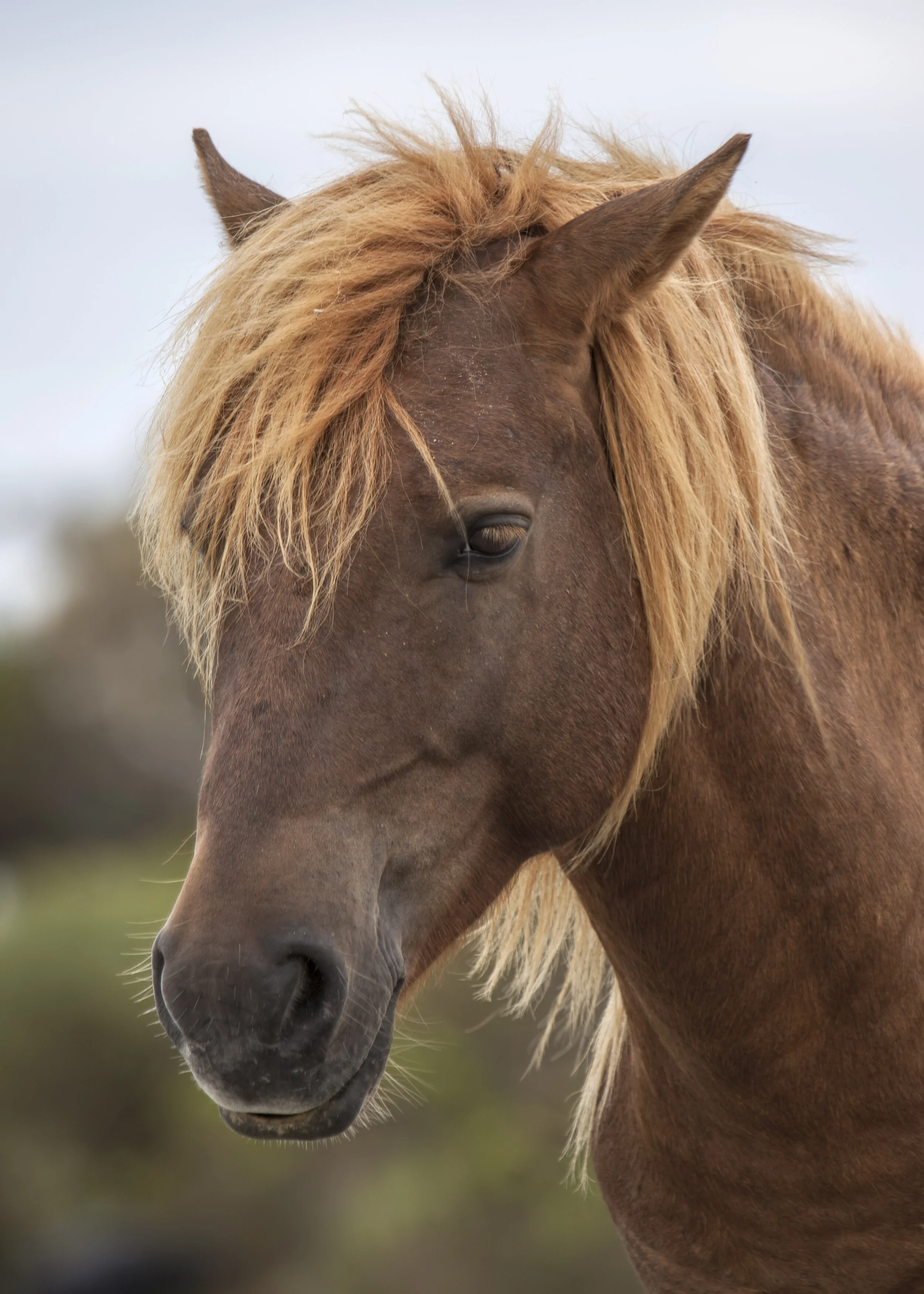 IMG_6243 Edited_filtered v1.jpg