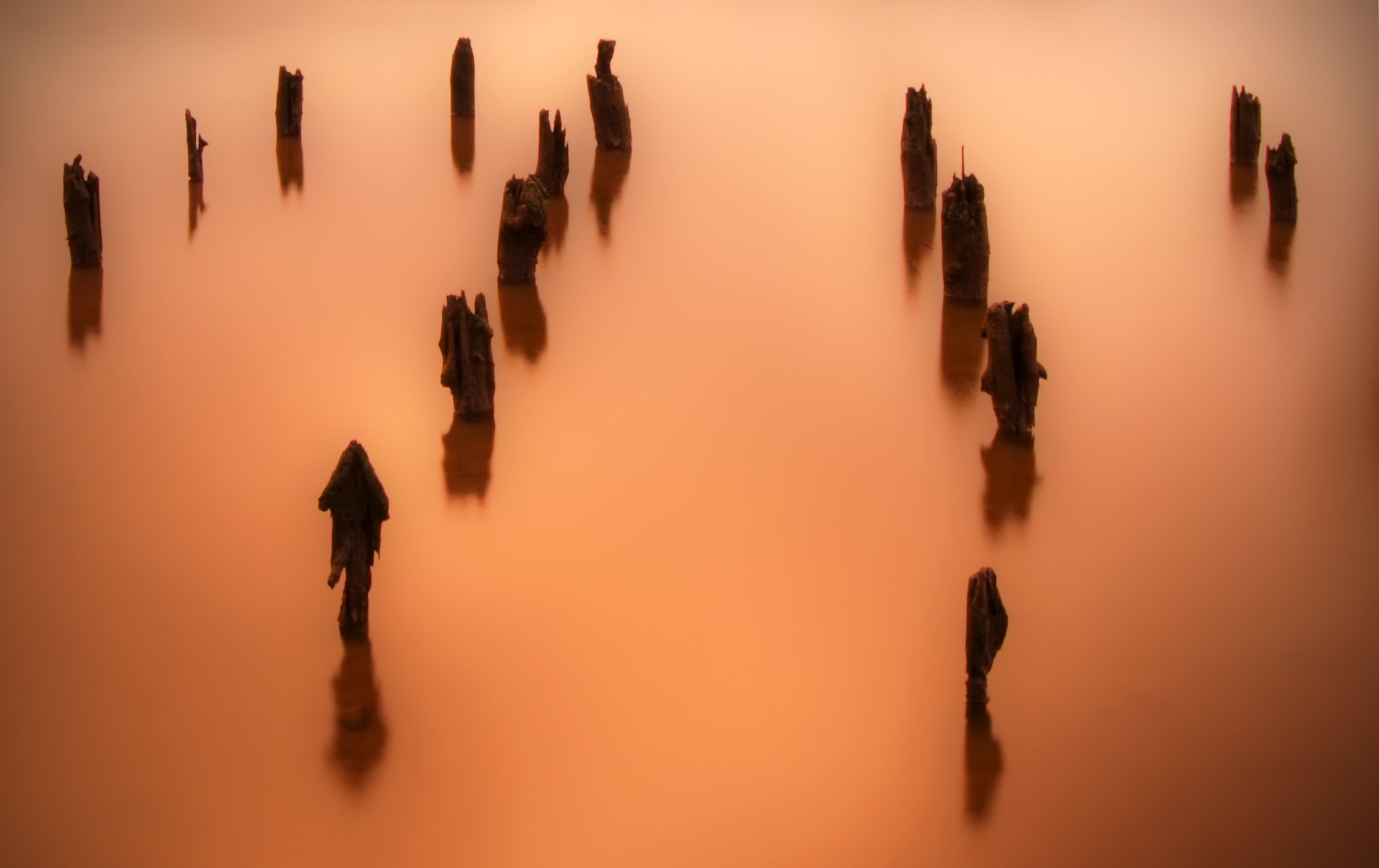 Old Cannery Pilings