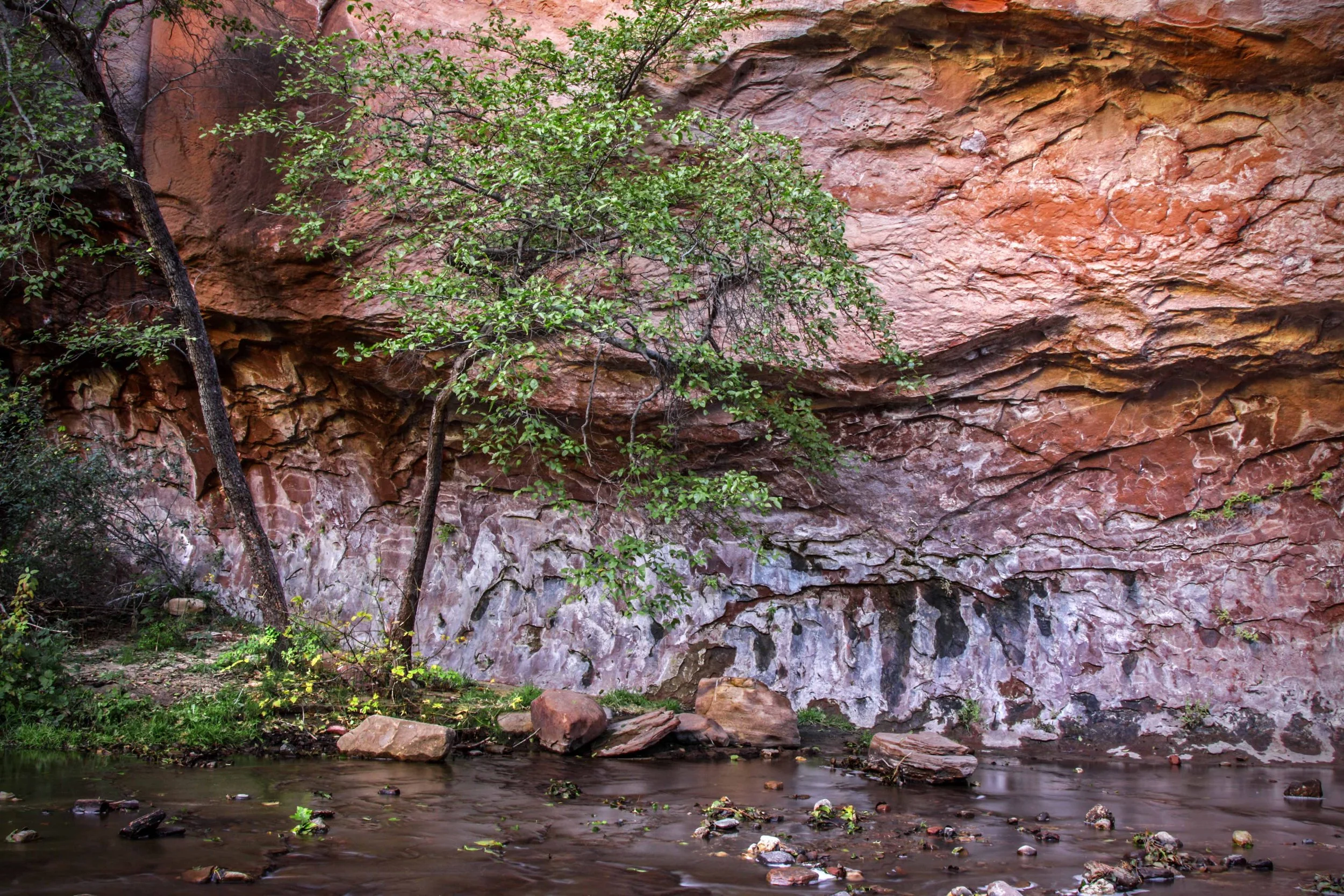 West Fork Oak Creek Cayon
