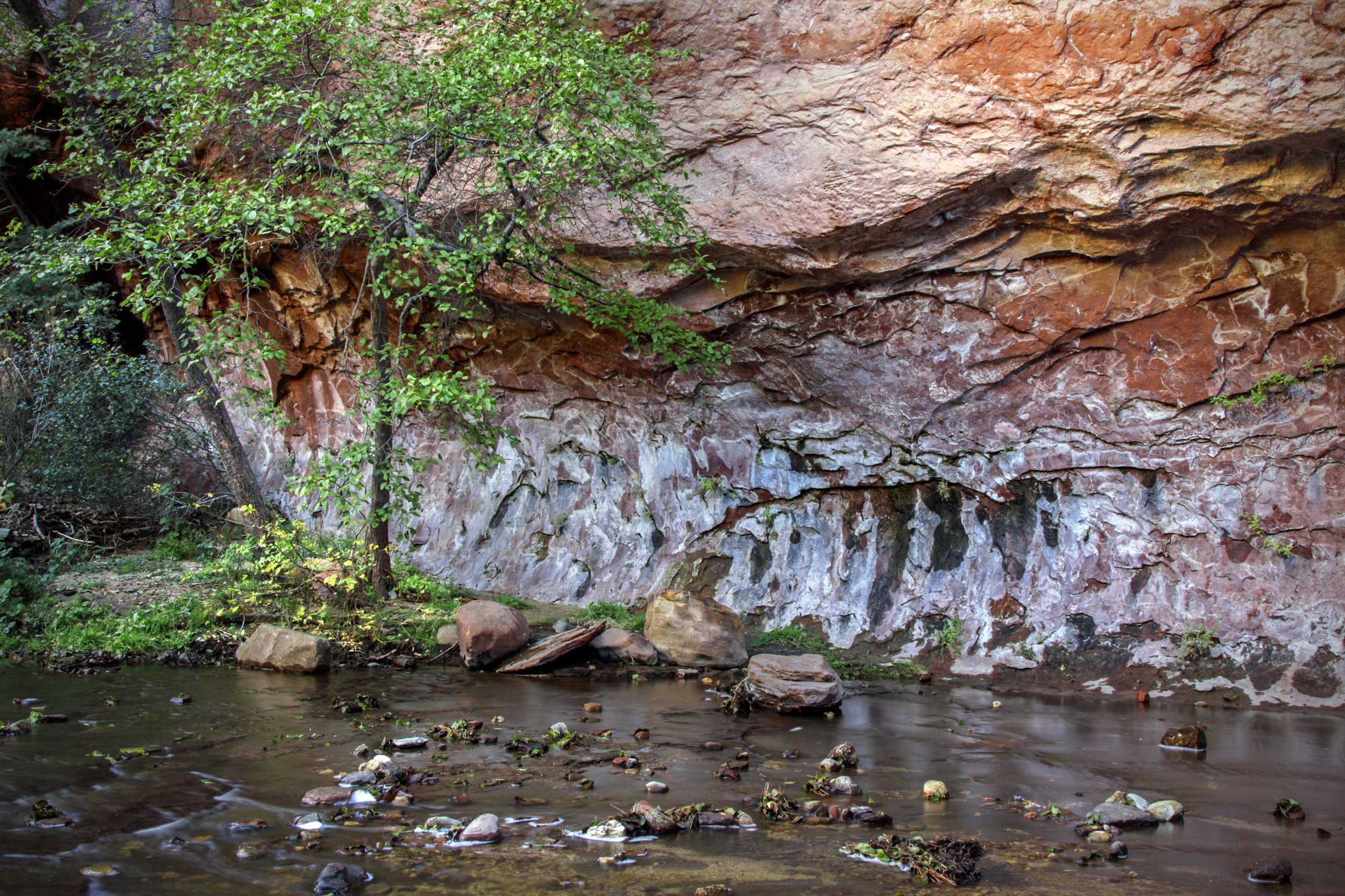 West Fork Oak Creek Canyon