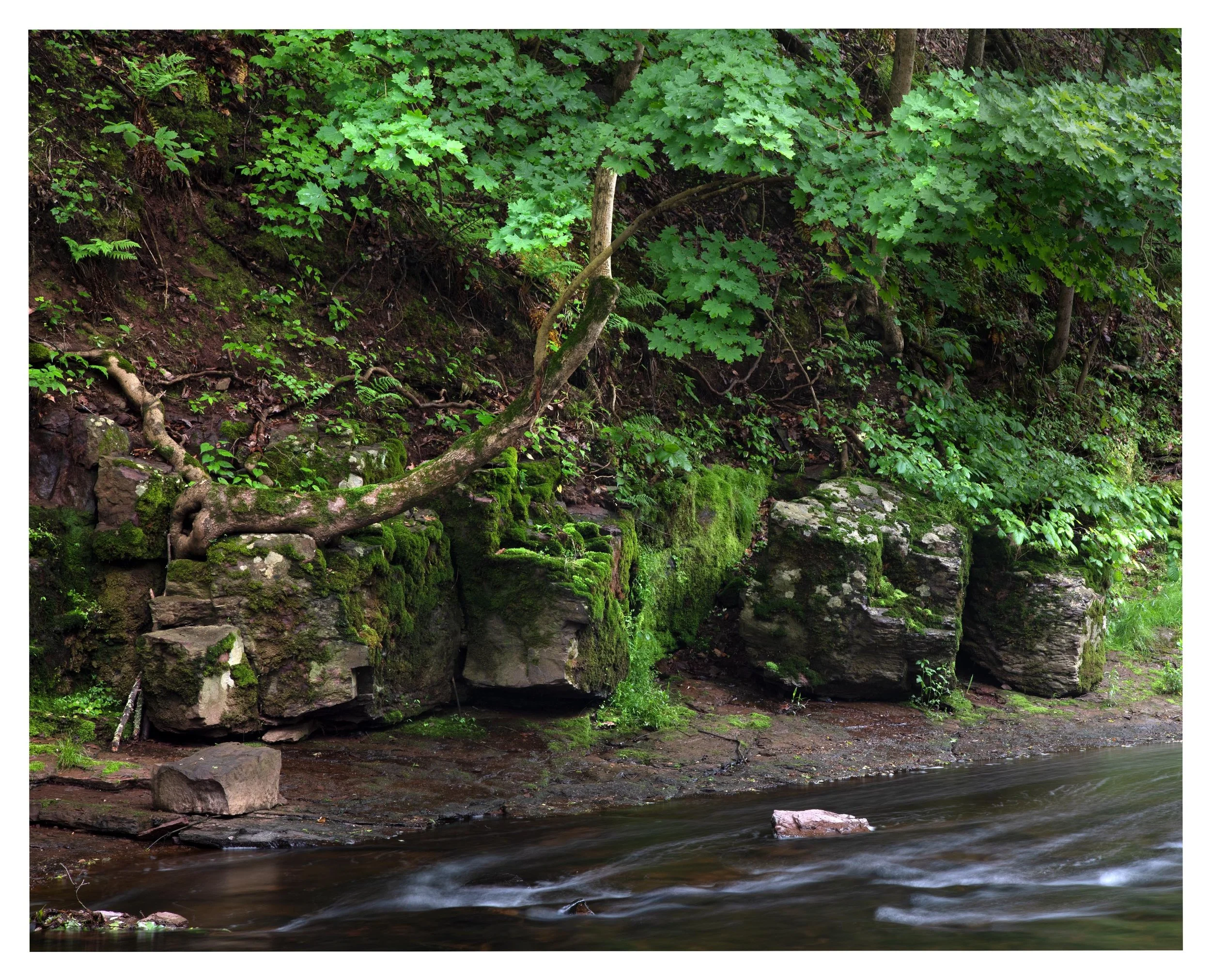 Evansburg State Park
