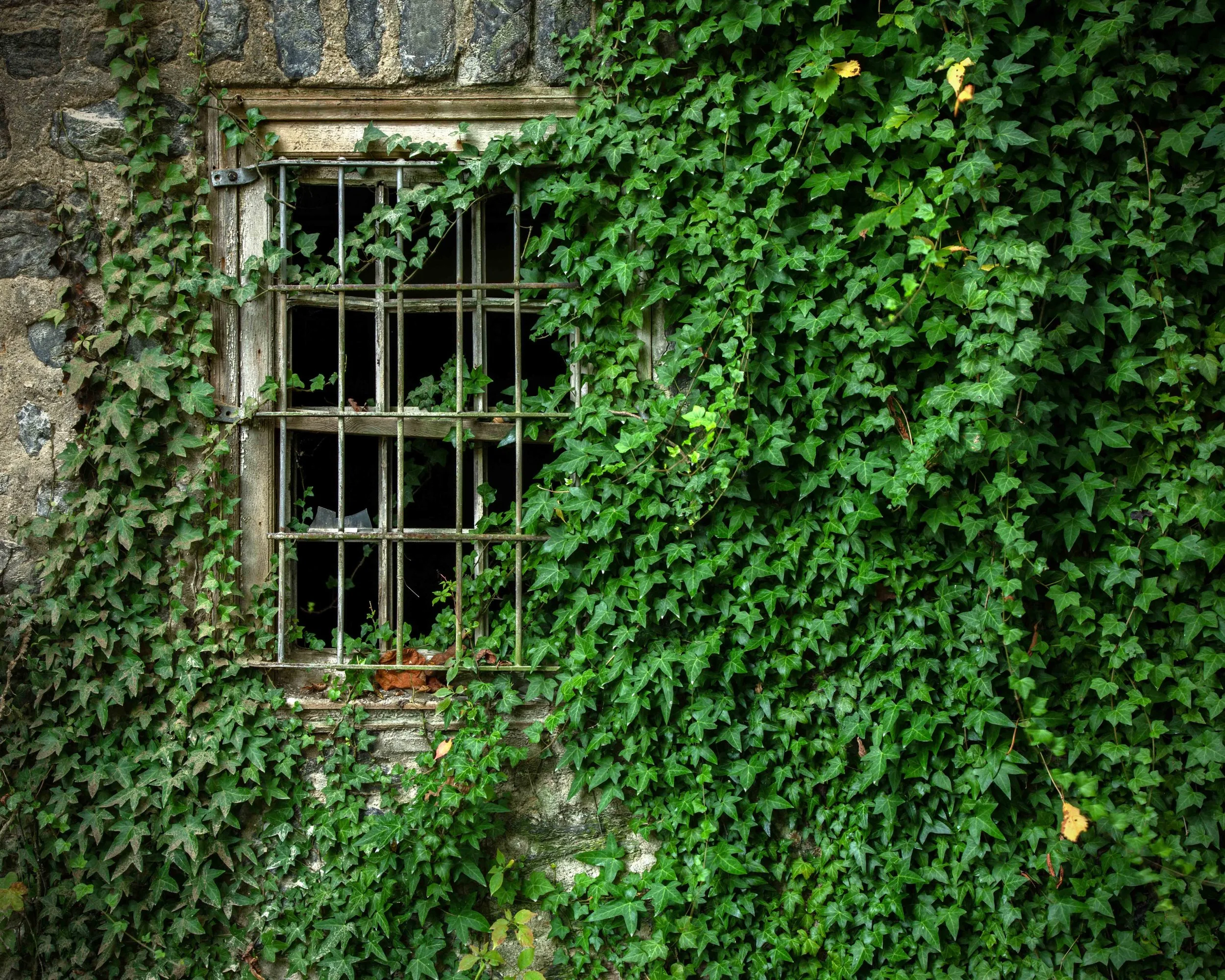 Abandoned Farm School