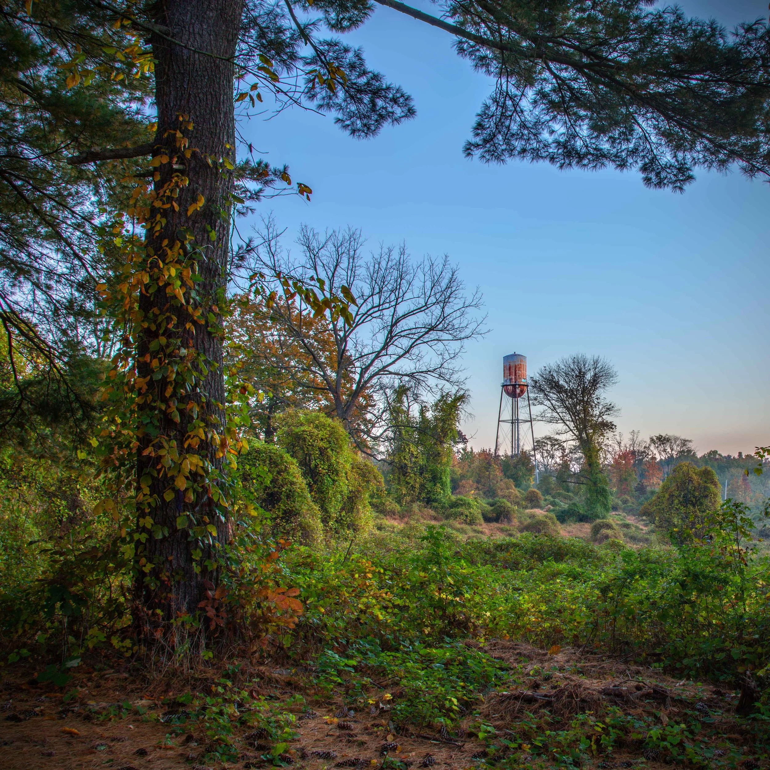 Abandoned Farm School