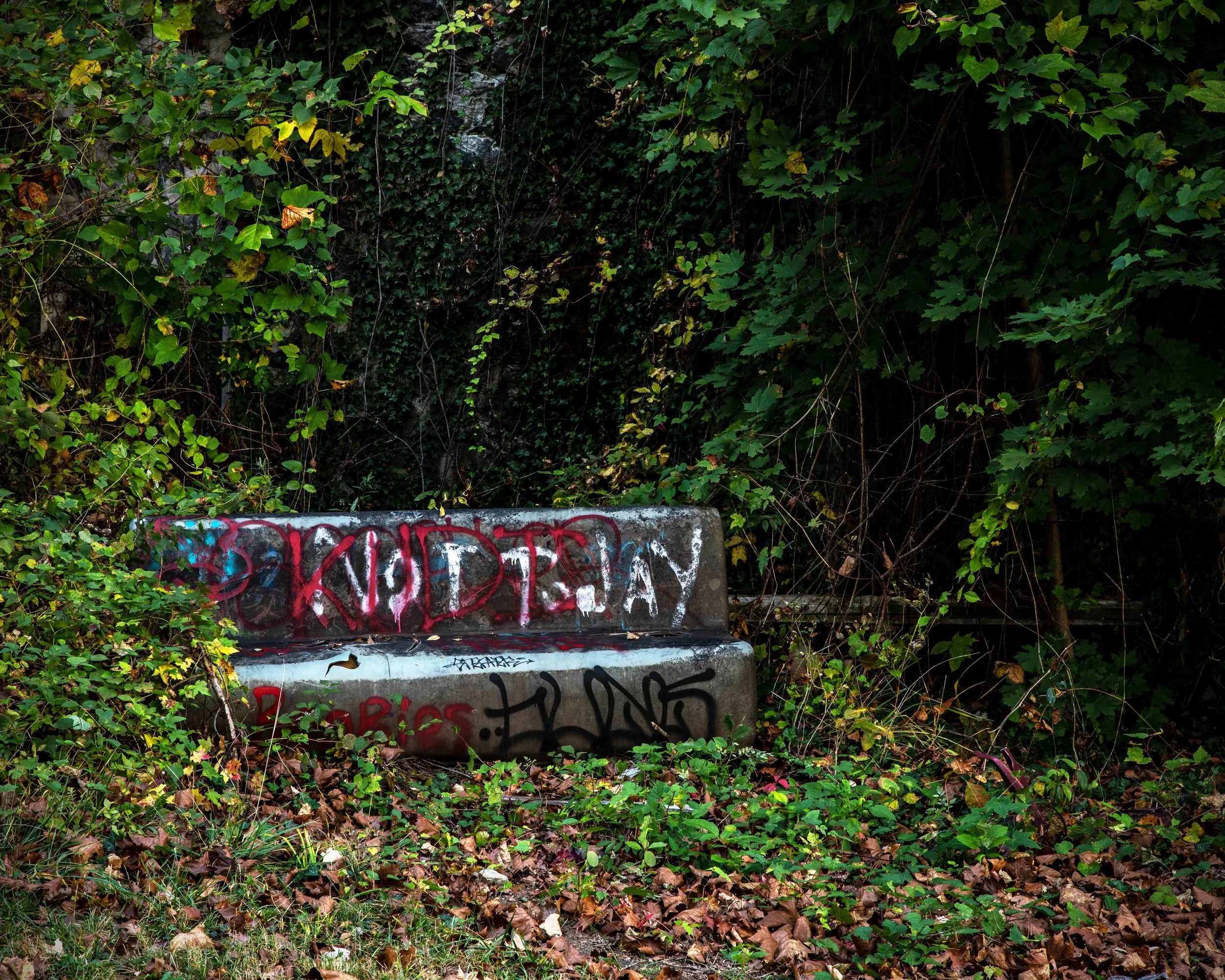 Abandoned Farm School