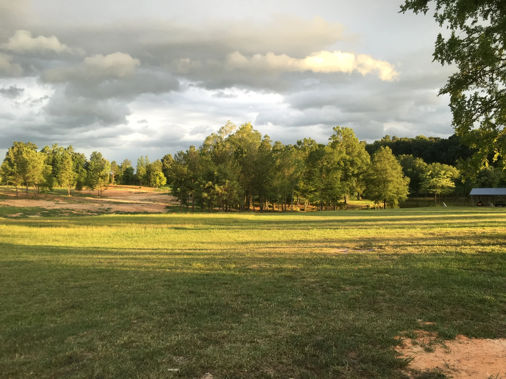 pavillion-and-new-clearing.JPG